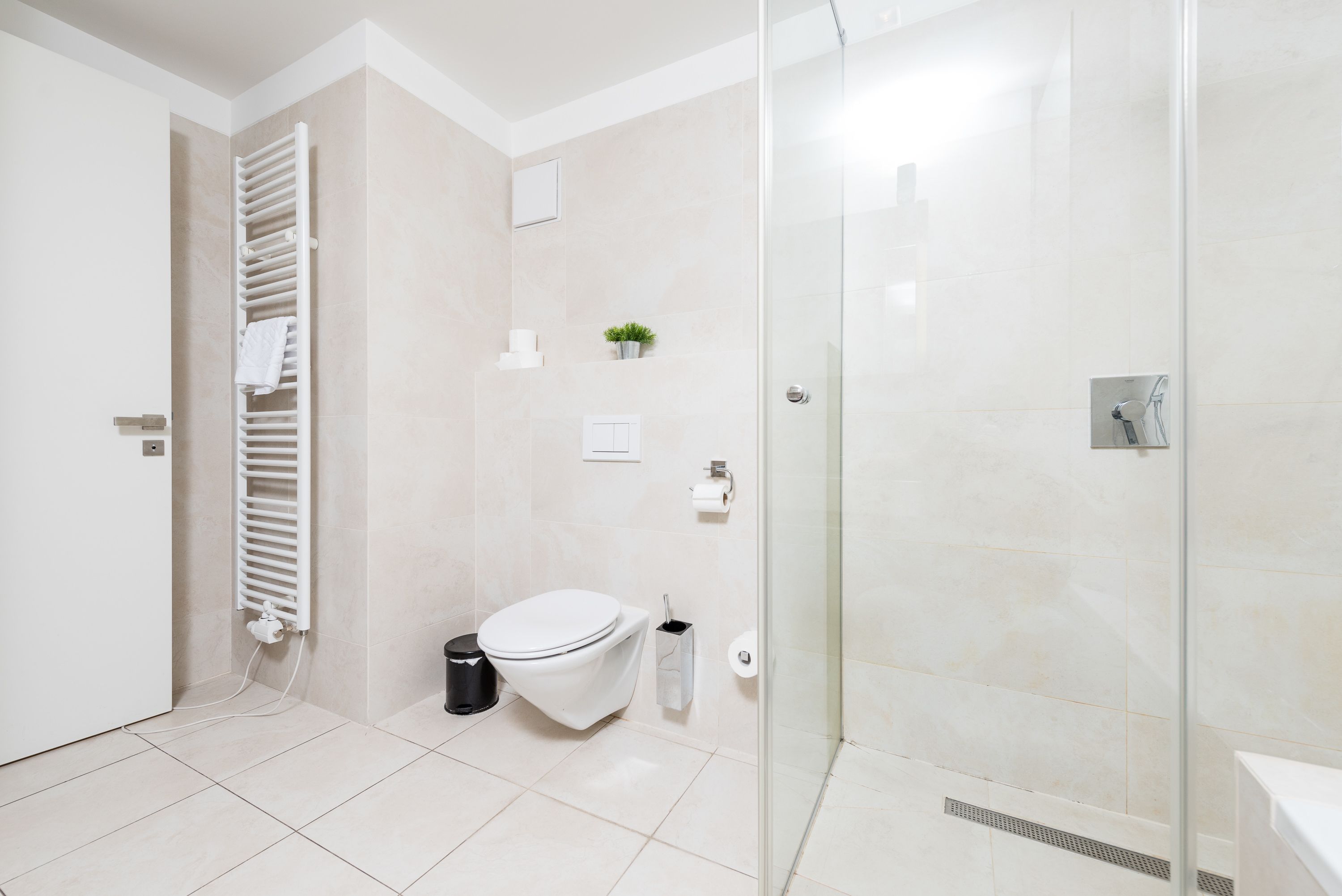 Ein modernes Badezimmer mit Duschkabine aus Glas, einer weißen Toilette, einem Handtuchhalter und einem kleinen Topf mit Pflanze.
