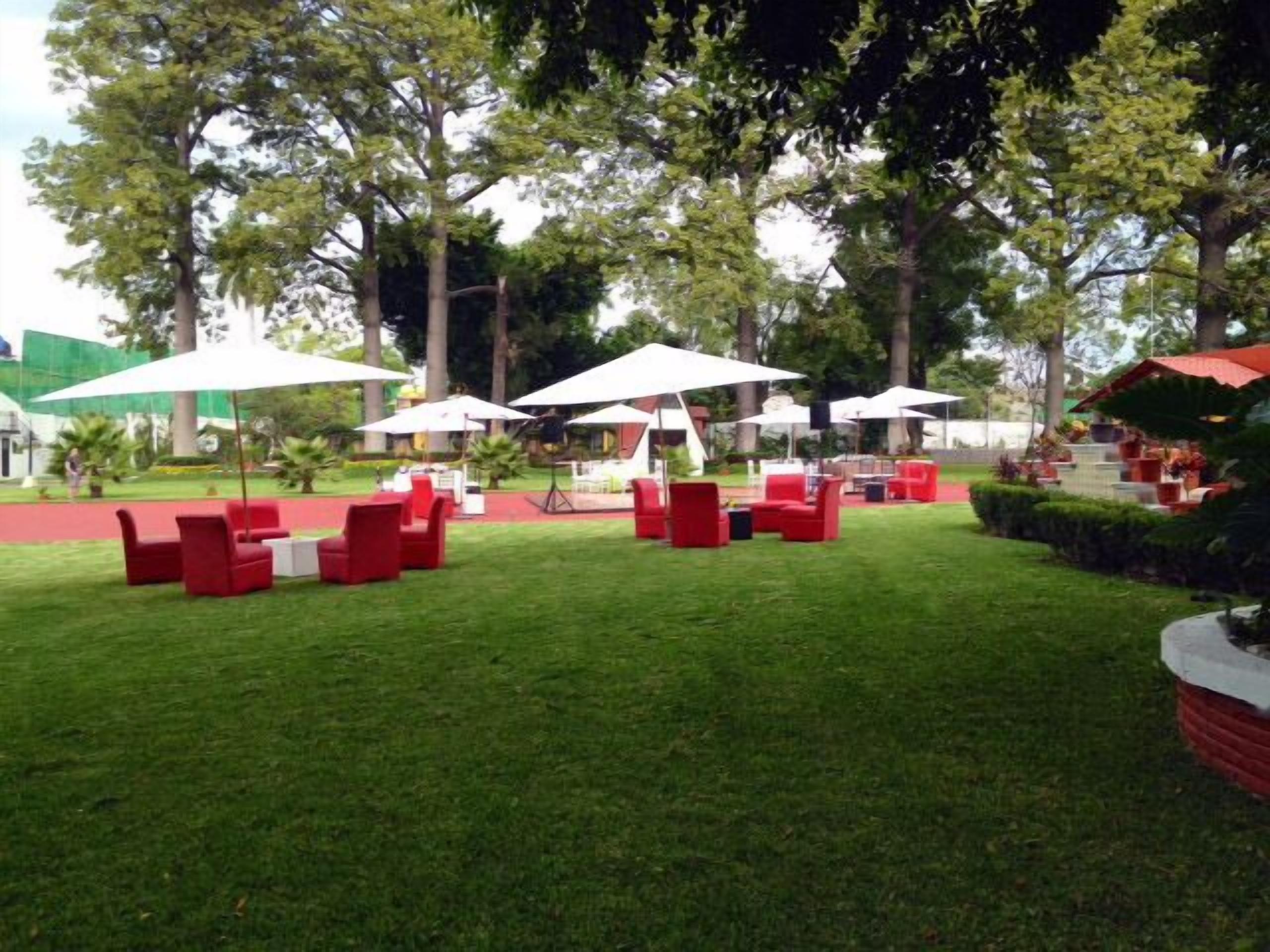 outdoor wedding area