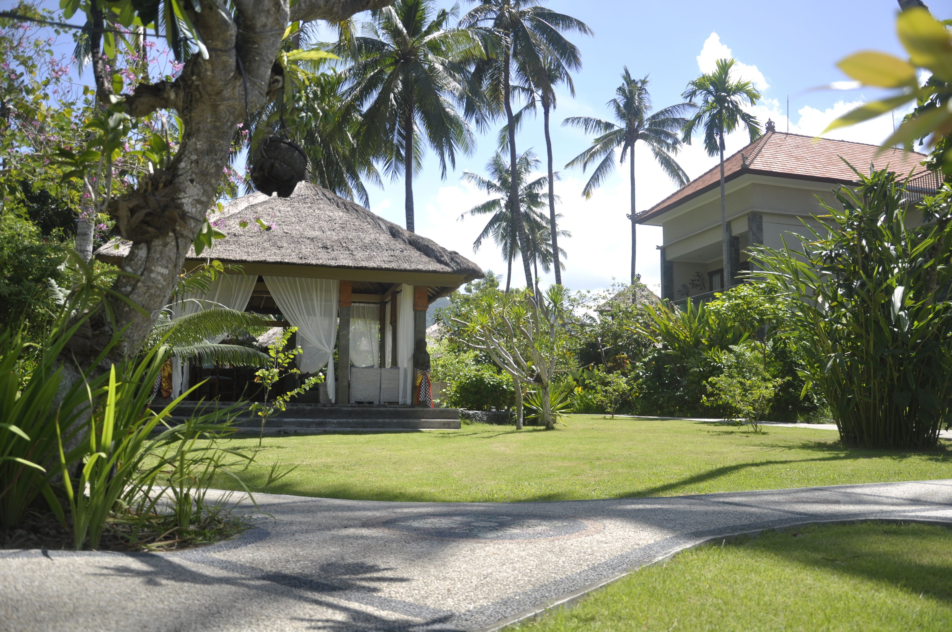 A tropical resort with a thatched-roof building, lush greenery, and palm trees.