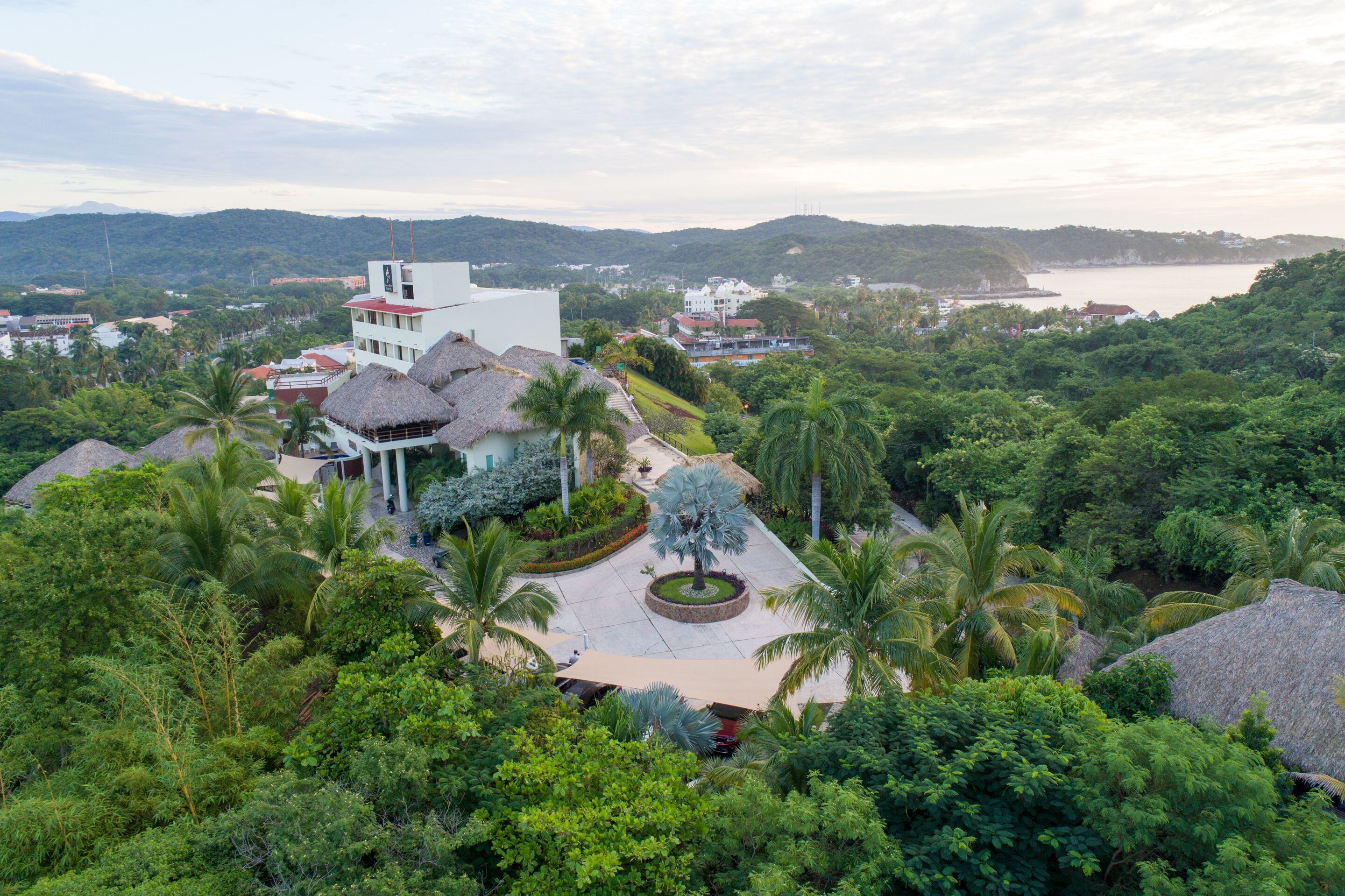 Um resort com um edifício central rodeado por vegetação exuberante, uma grande palmeira e vista para o mar.
