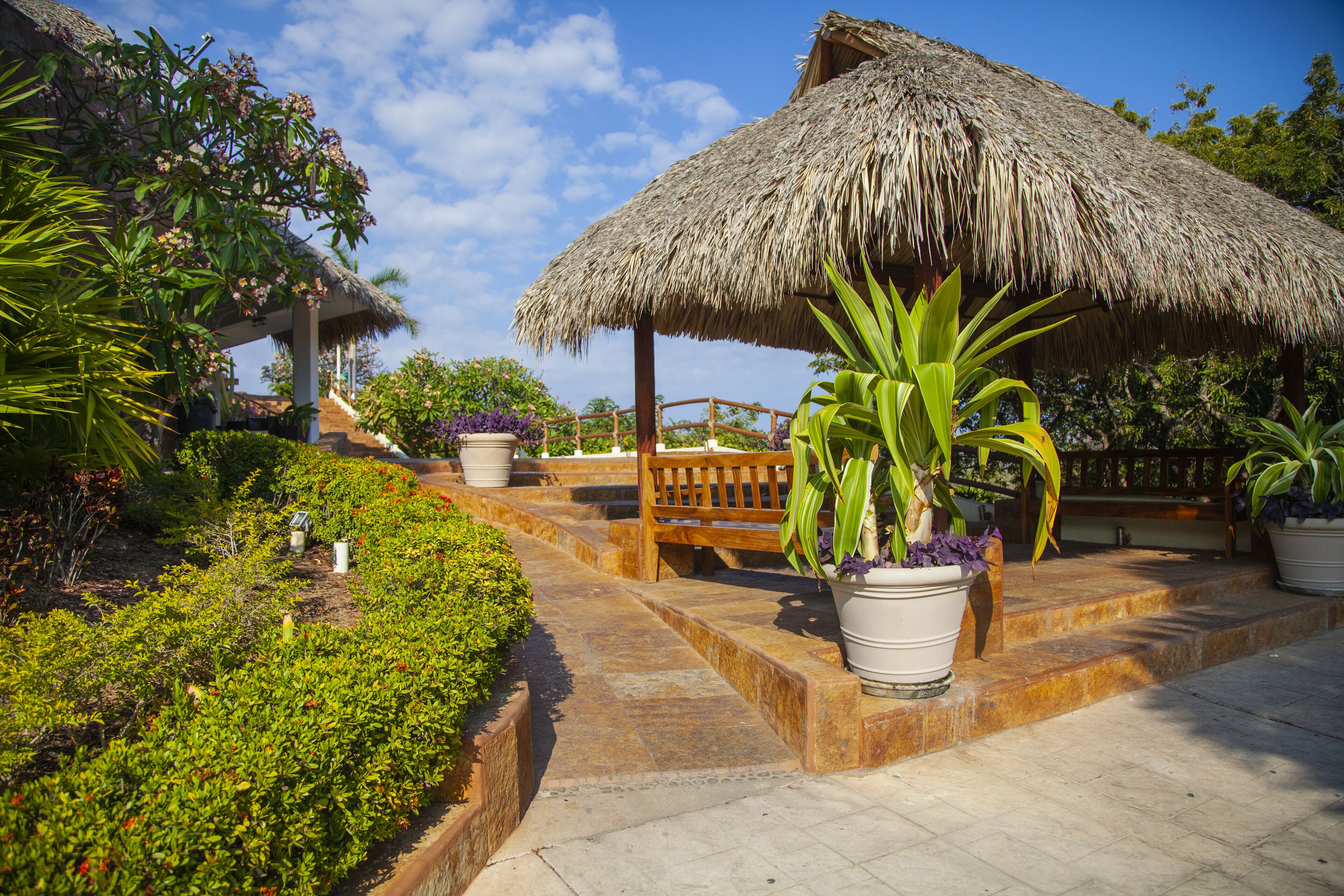 Foto - Princess Mayev