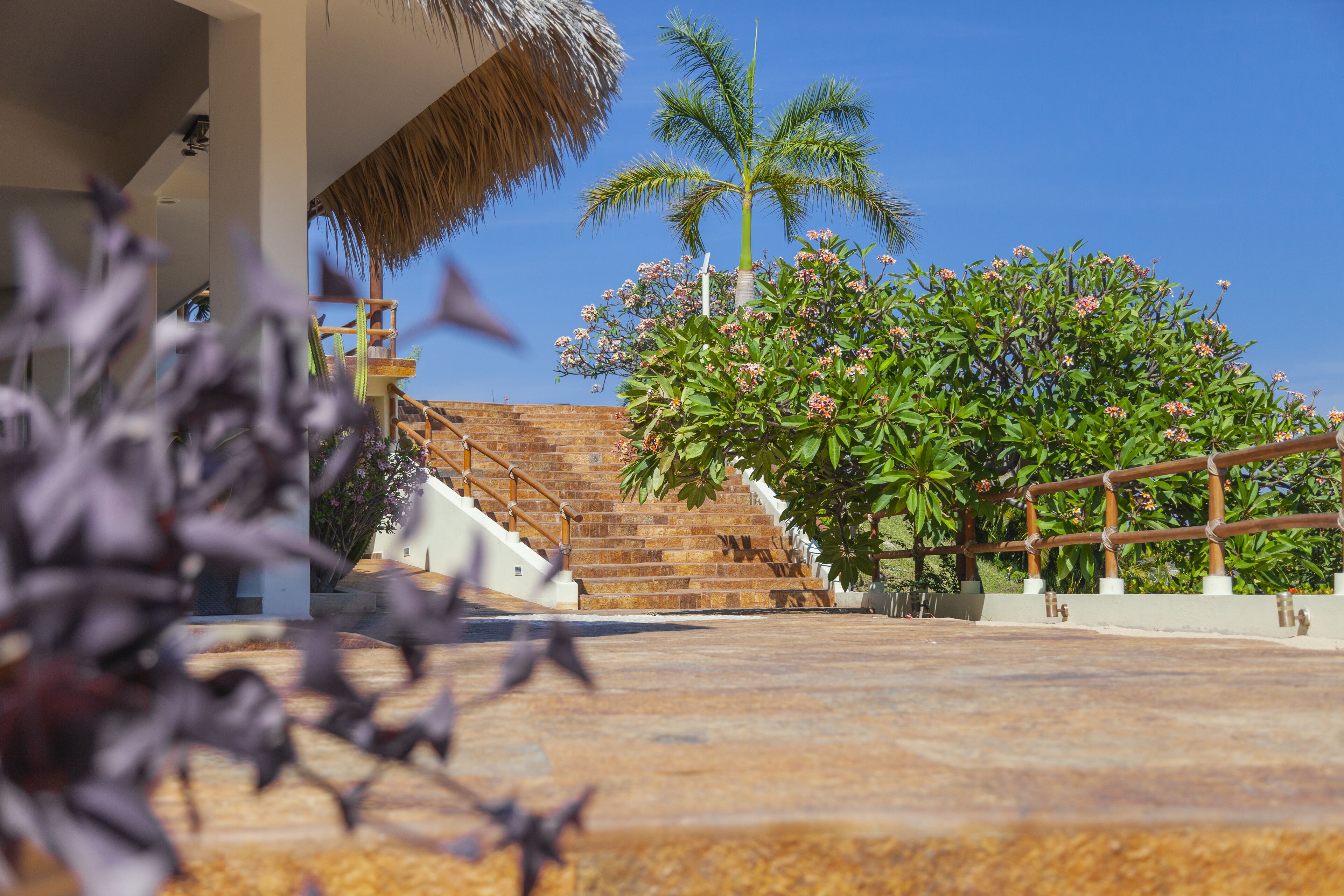 Foto - Princess Mayev