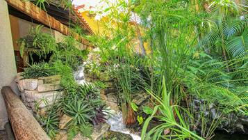 A lush garden with a small waterfall, surrounded by various tropical plants and a rustic stone wall.