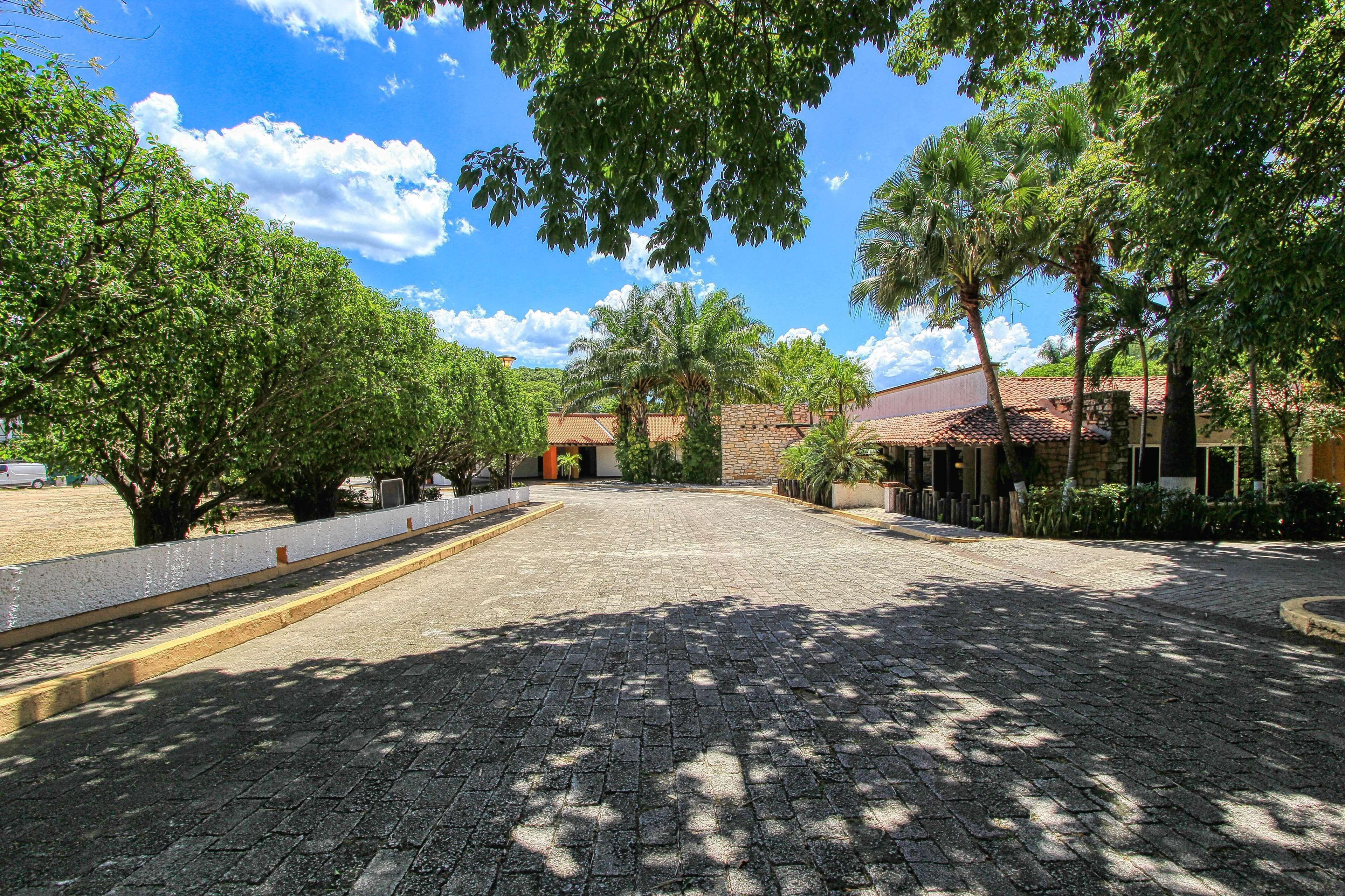 A paved courtyard with trees and a building with a tiled roof.
