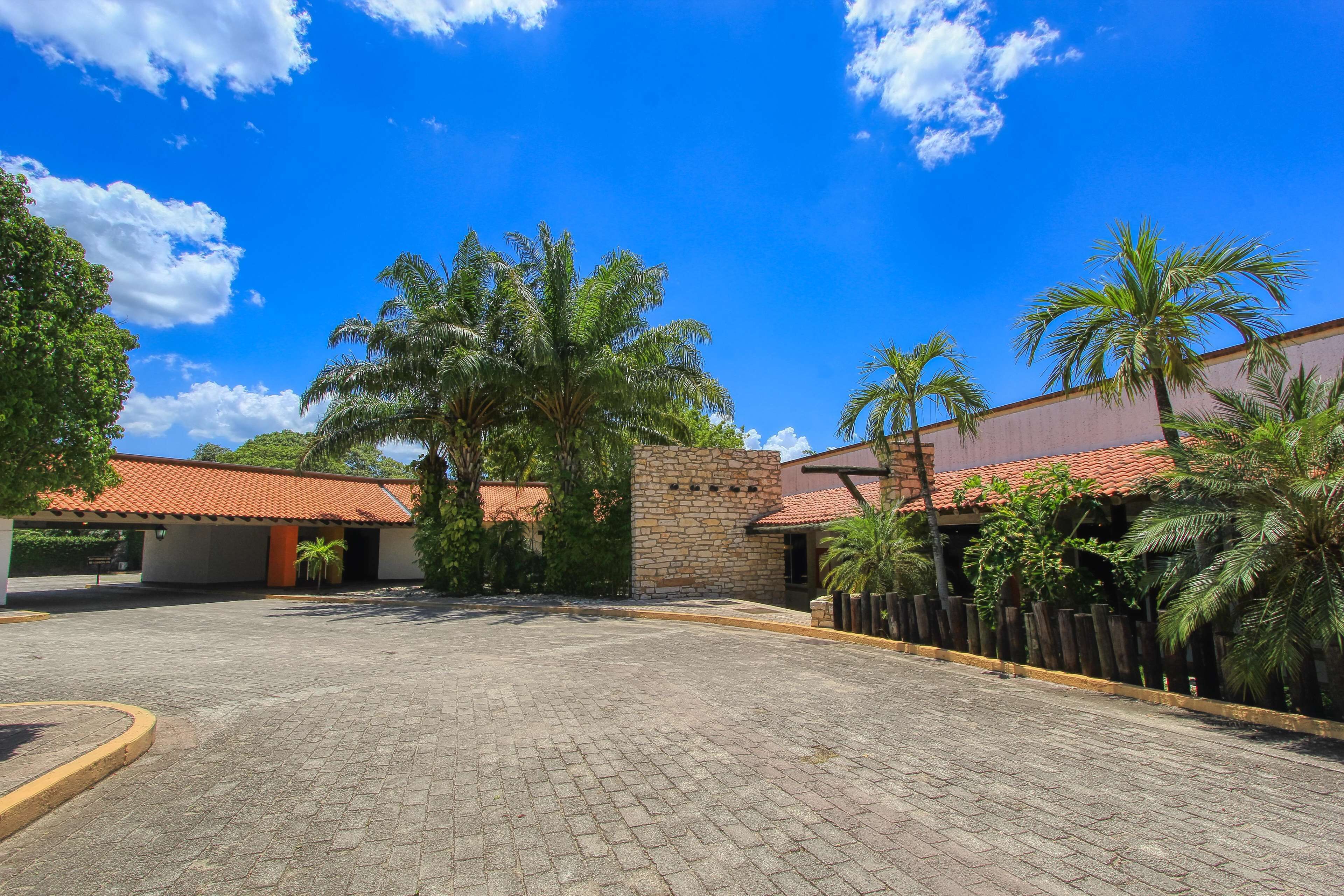 Un patio con suelo empedrado, palmeras y edificios con techos de tejas rojas.
