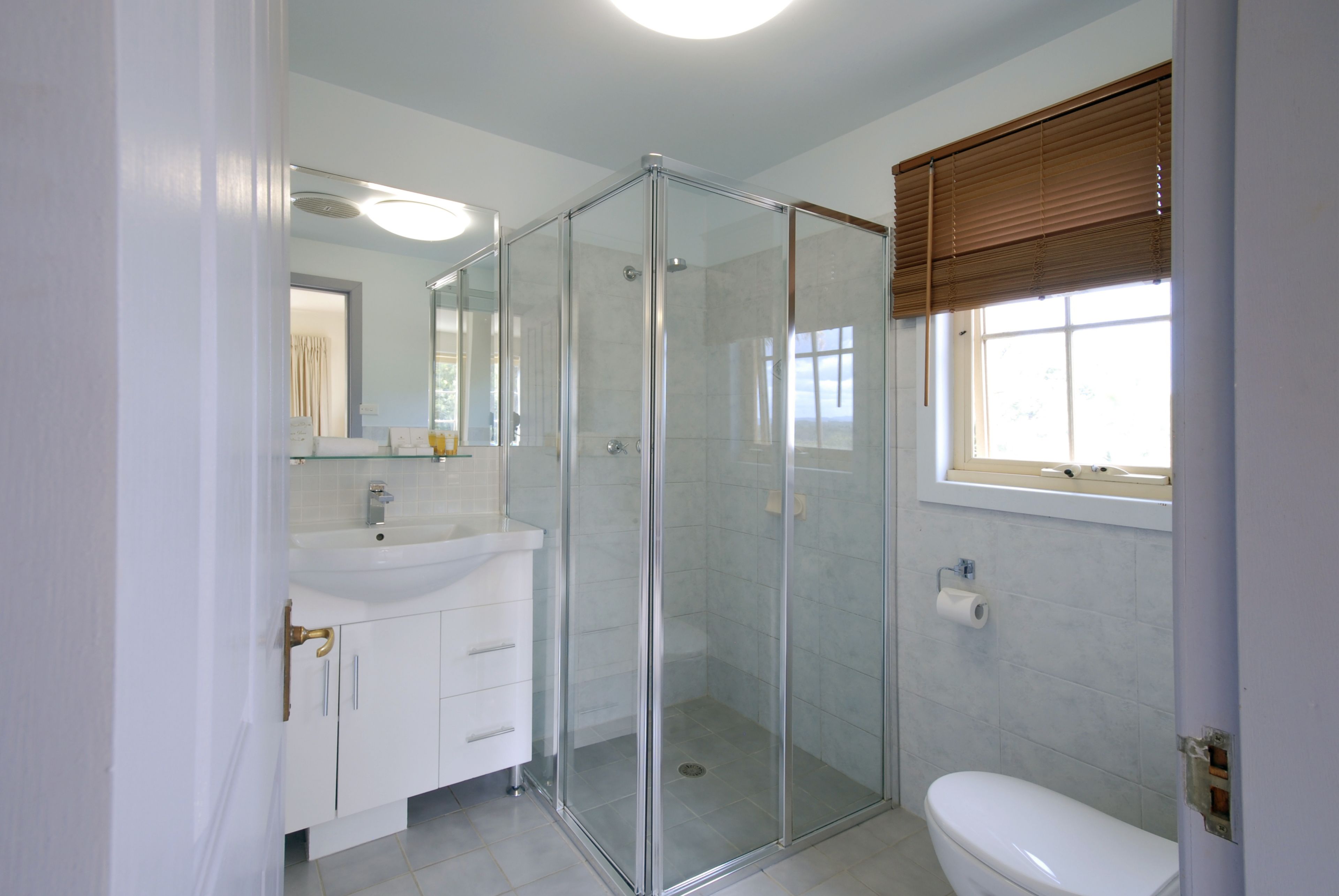 A bathroom with a glass-enclosed shower, a toilet, and a sink with a mirror above it.