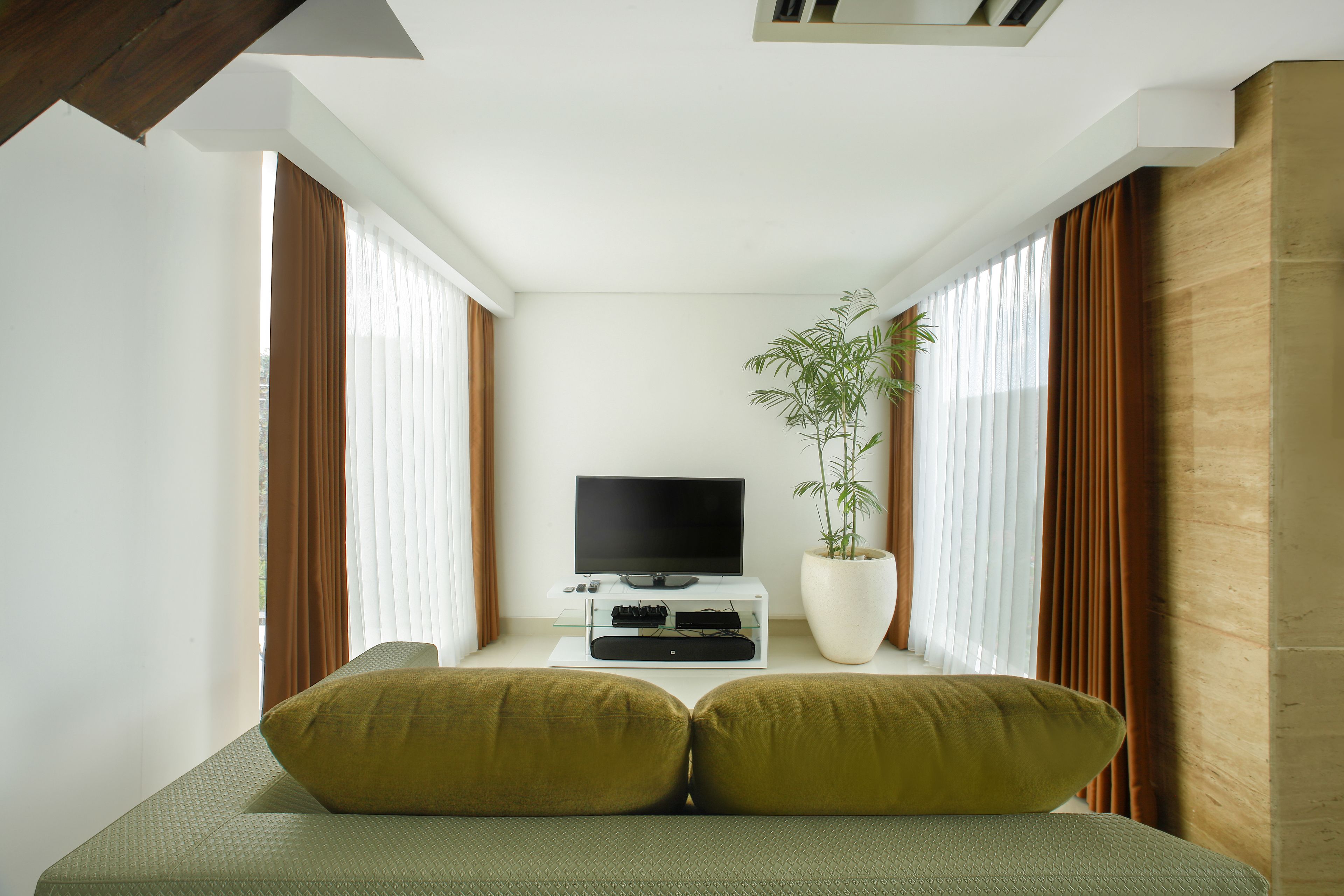 A modern living room with a flat-screen TV, a potted plant, and a sofa with two cushions.