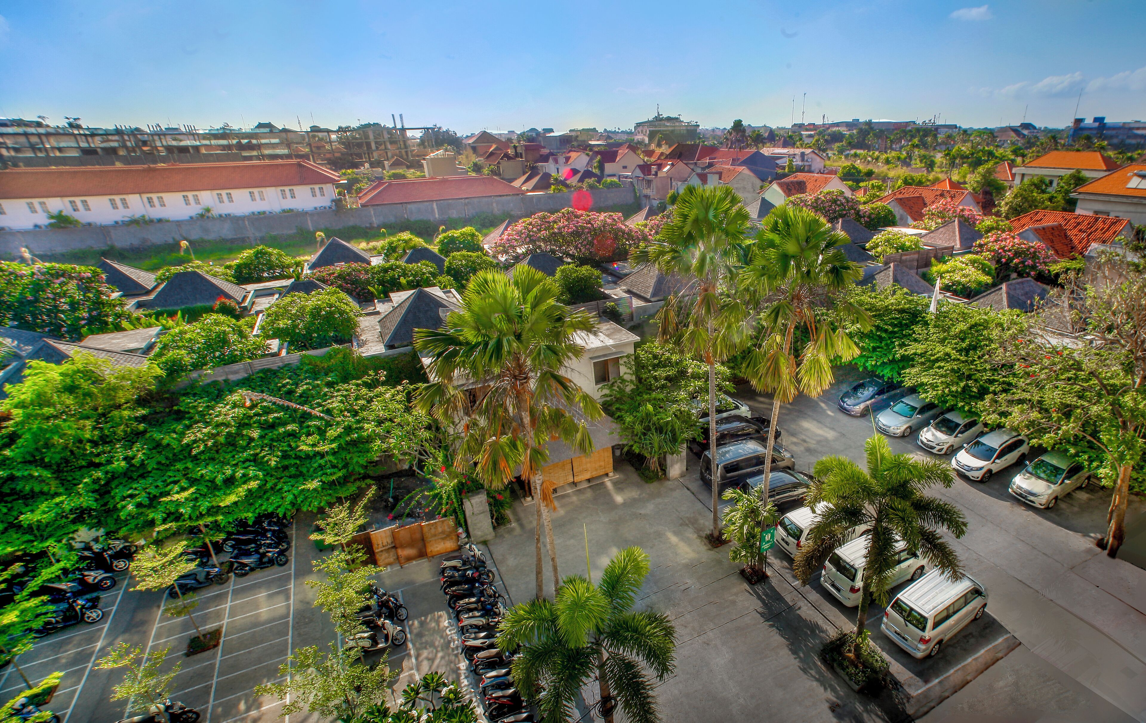 A residential area with houses, parked cars, and palm trees.
