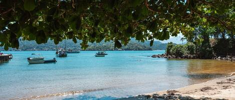 A beach with boats and a forested area in the background.