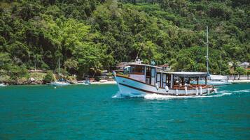 Un bateau doté d’une cabine et d’un pont ouvert, naviguant sur une mer turquoise, avec une côte boisée en arrière-plan.