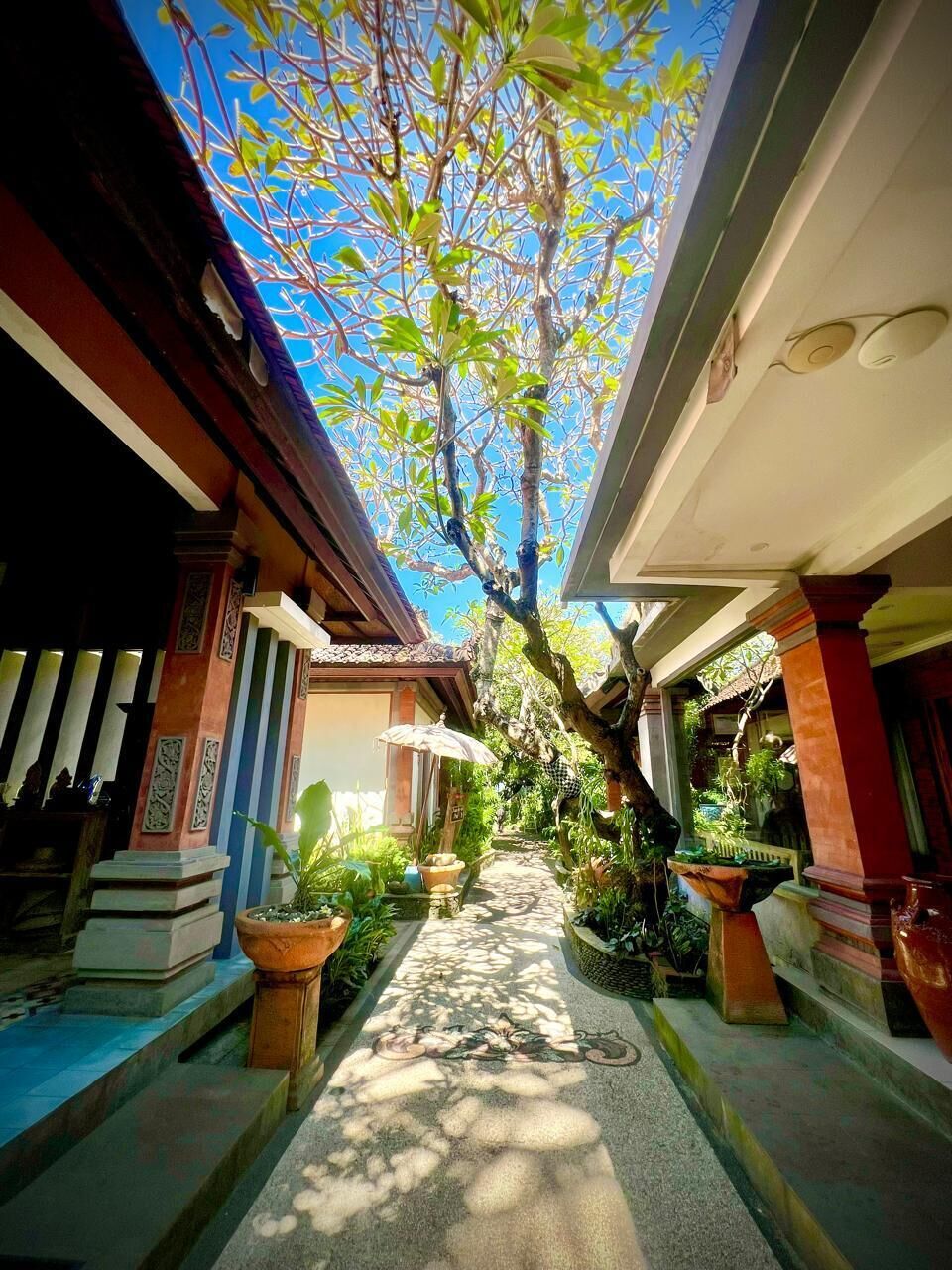 A narrow pathway flanked by buildings with traditional architecture, leading to a covered area with potted plants and a tree overhead.
