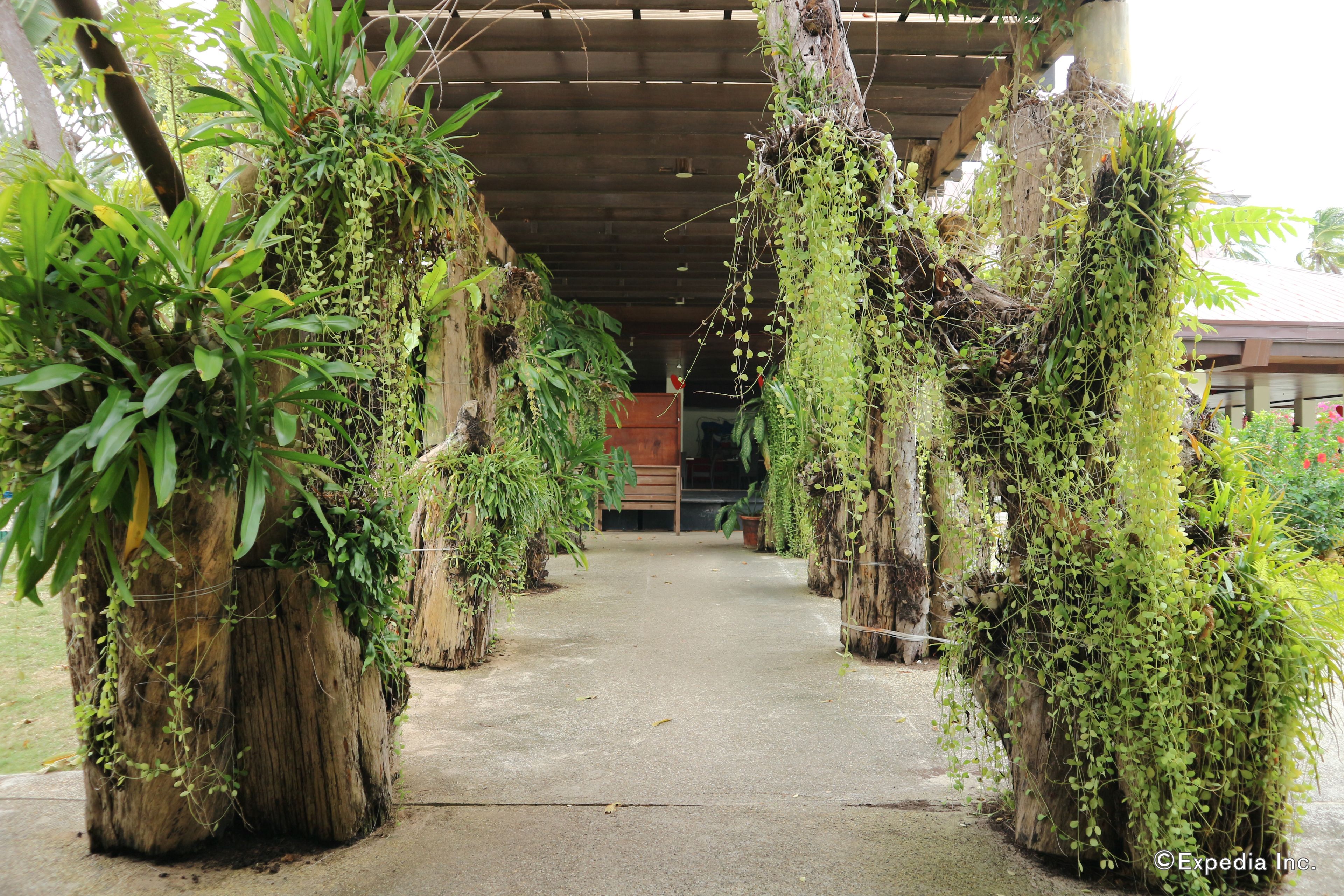 Chi tiết ngoại thất