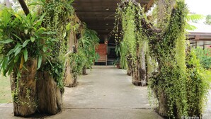 Une allée couverte, avec de grandes poutres en bois recouvertes de verdure.