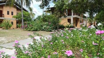 Stroll through the tranquil courtyard surrounded by lush greenery and vibrant flowers.
