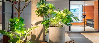 Lub d Bangkok Siam – New Look, Across from MBK & Skytrain Access