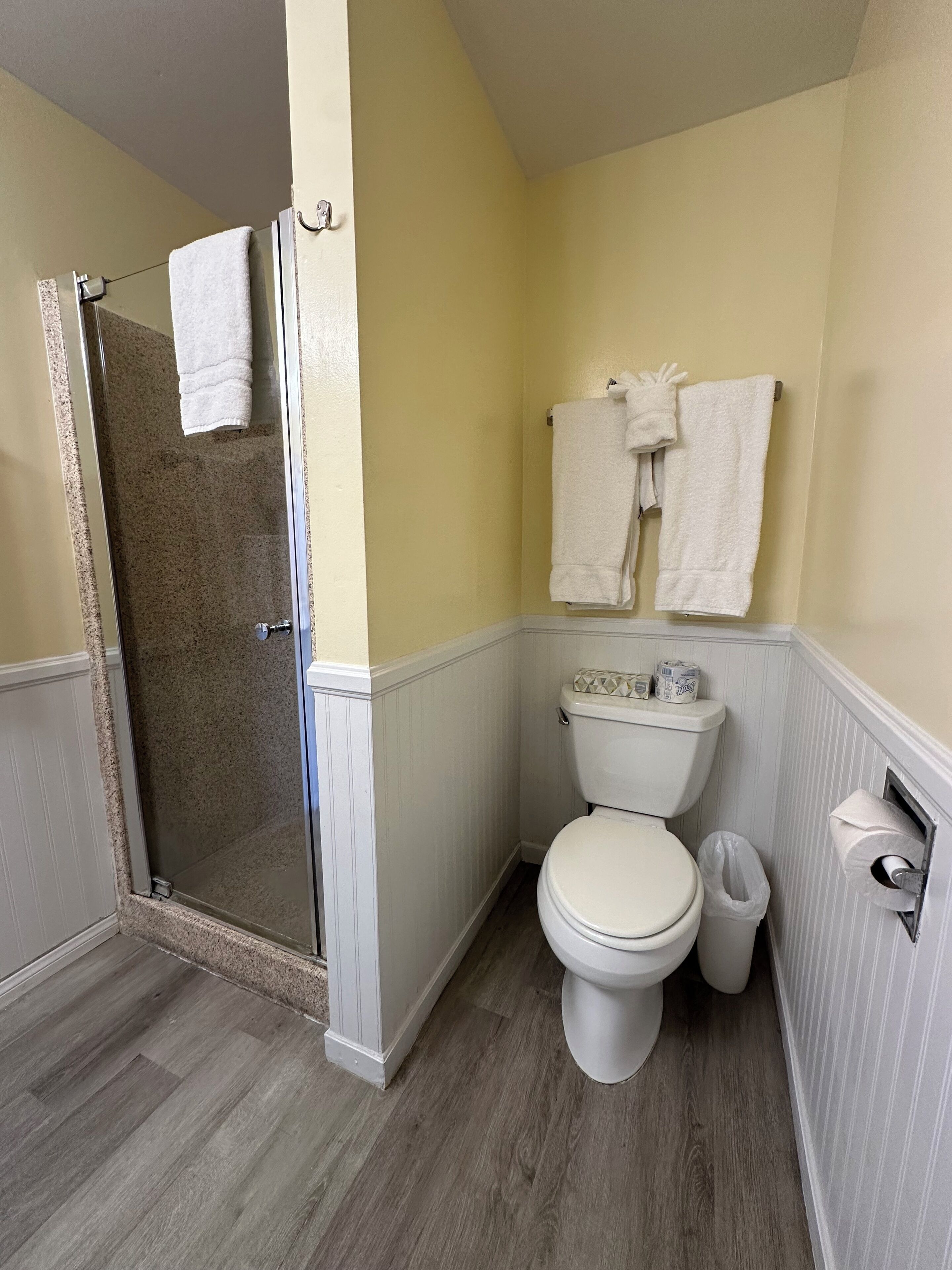 A bathroom with a shower, toilet, and a towel rack.