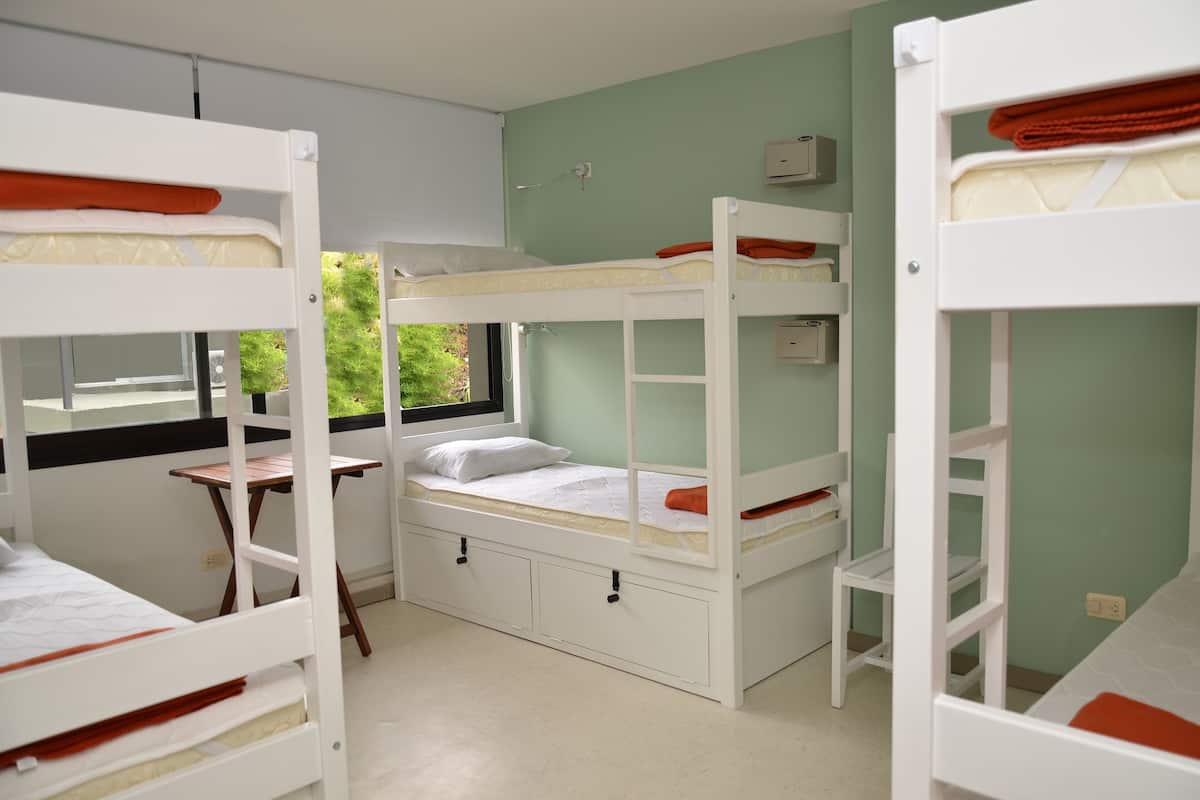 A dormitory room with bunk beds, a desk, and a window with a view of greenery.