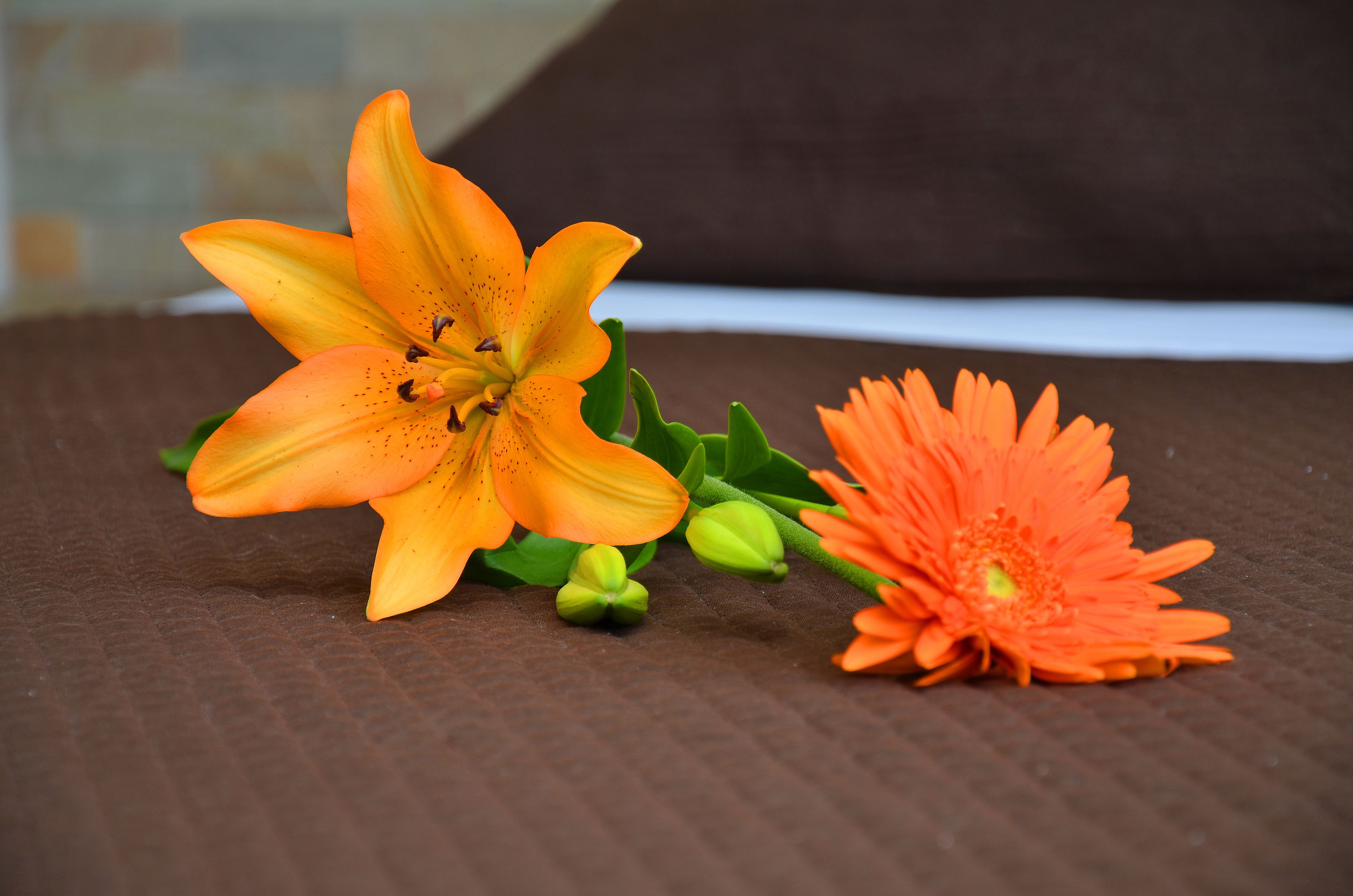 Photo - Hostel & Suites del Rio