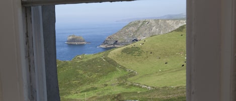 A coastal landscape with a rocky cliff, grassy fields, and a small island in the distance.