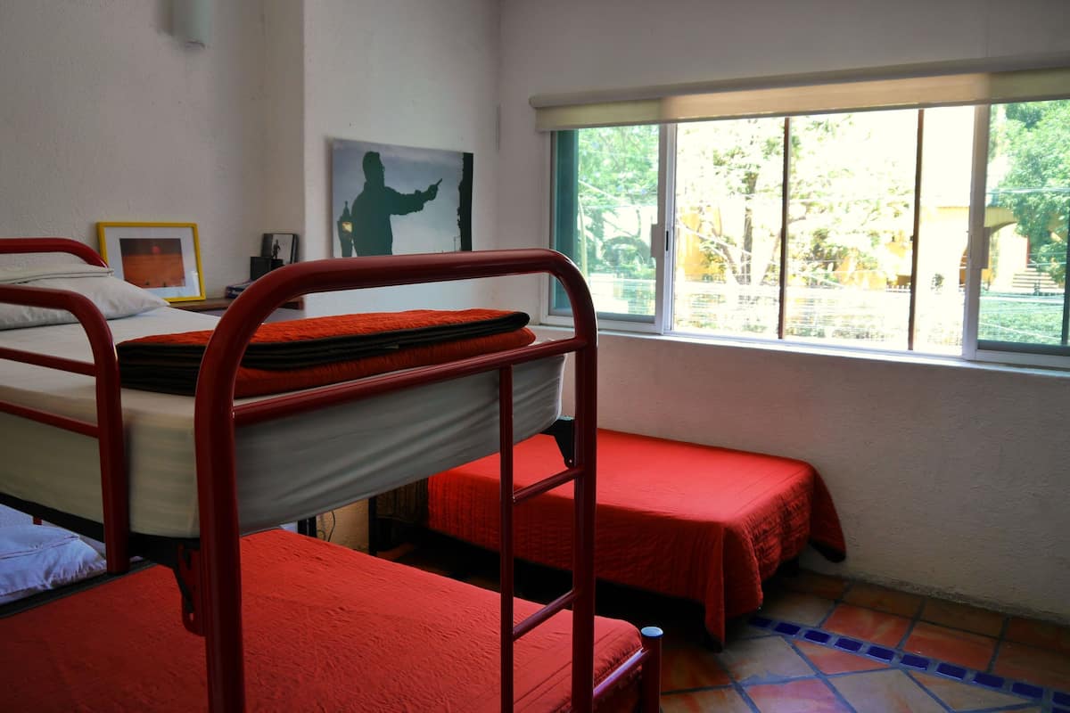 A dormitory room with bunk beds, a window with a view of greenery, and a framed picture on the wall.