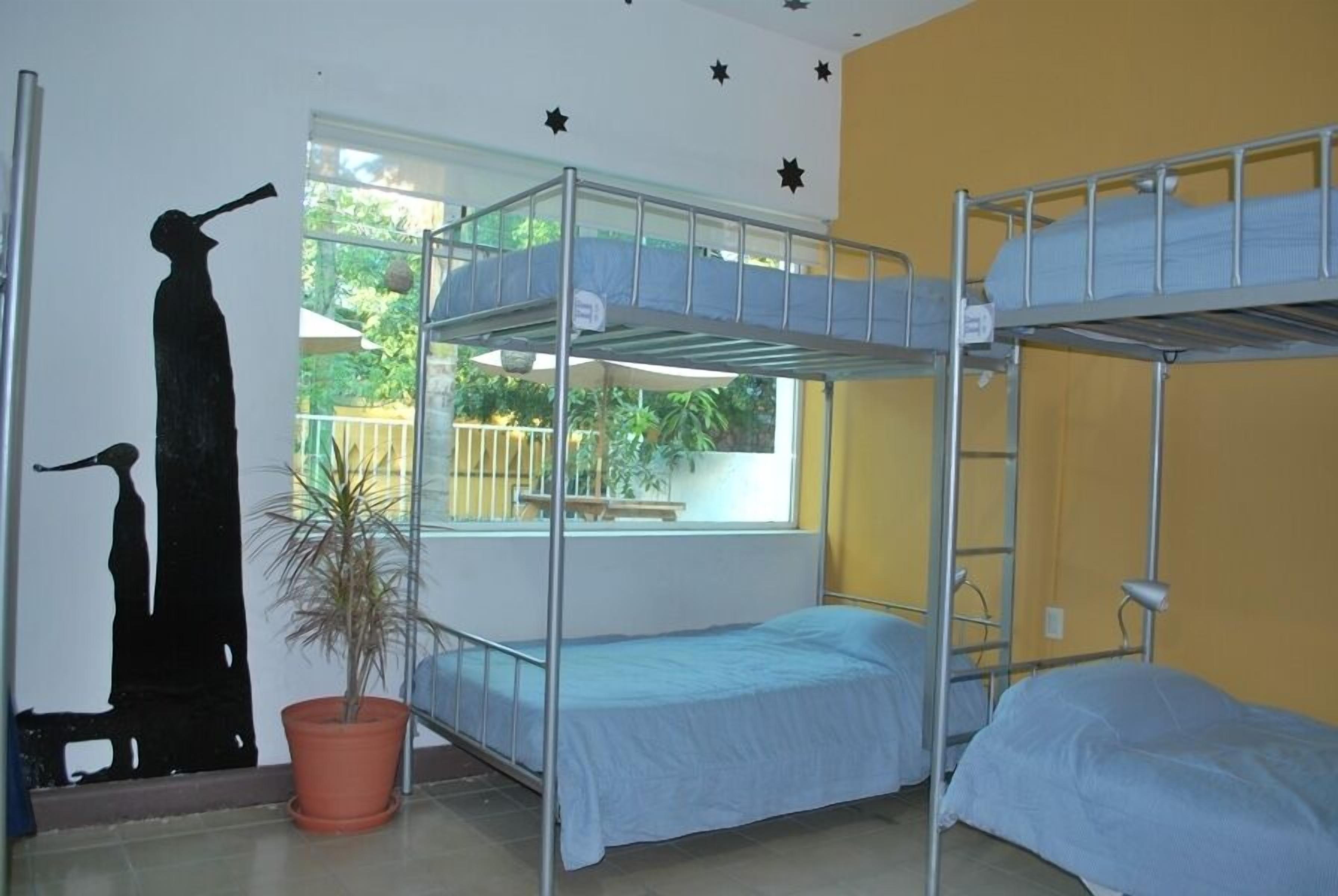 Une chambre de dortoir avec des lits superposés, une plante en pot et une fenêtre donnant sur un paysage verdoyant.