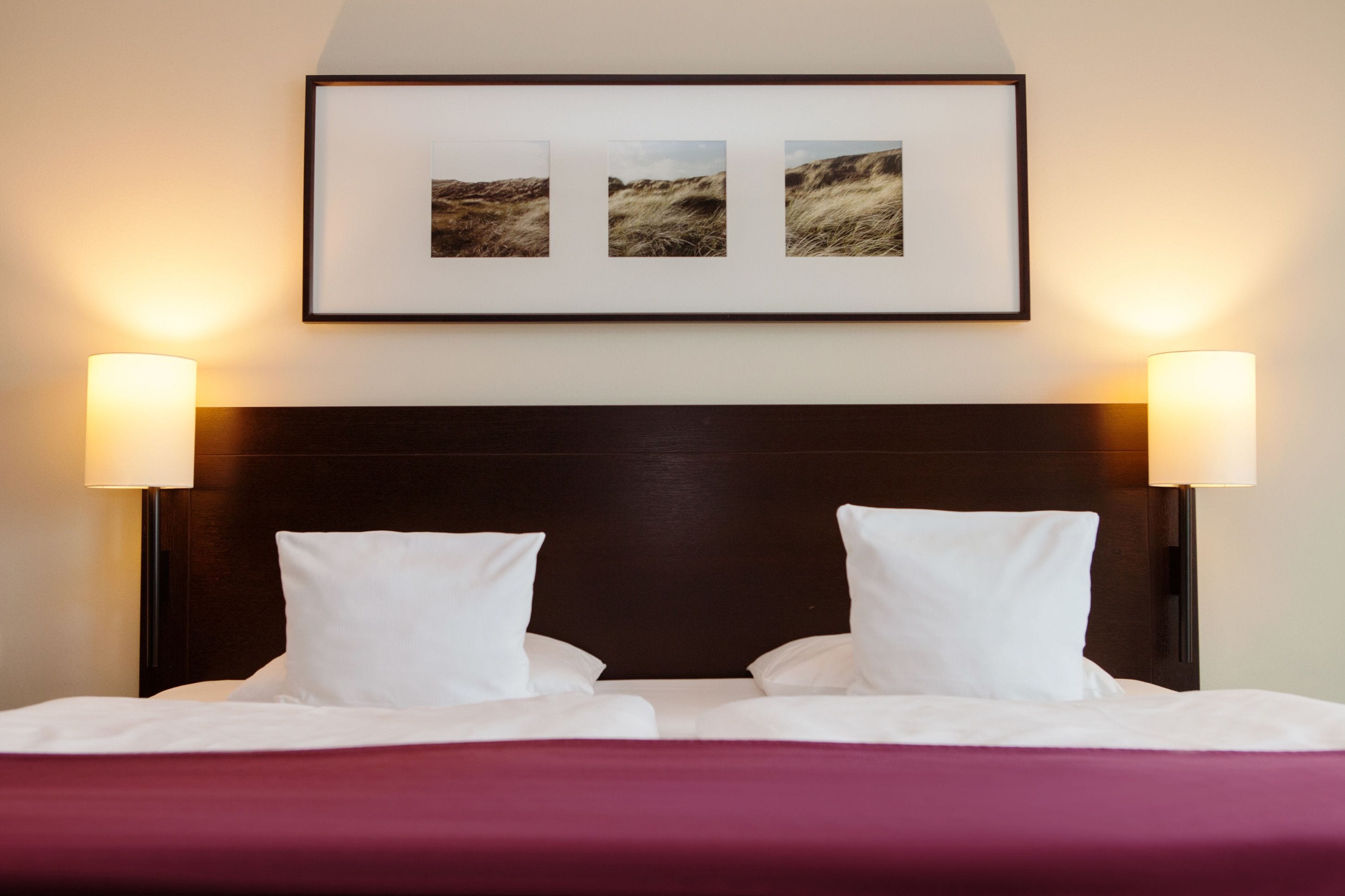 A neatly made bed with white linens and two white pillows, flanked by two wall-mounted lamps. Above the bed, there is a framed picture of a landscape.