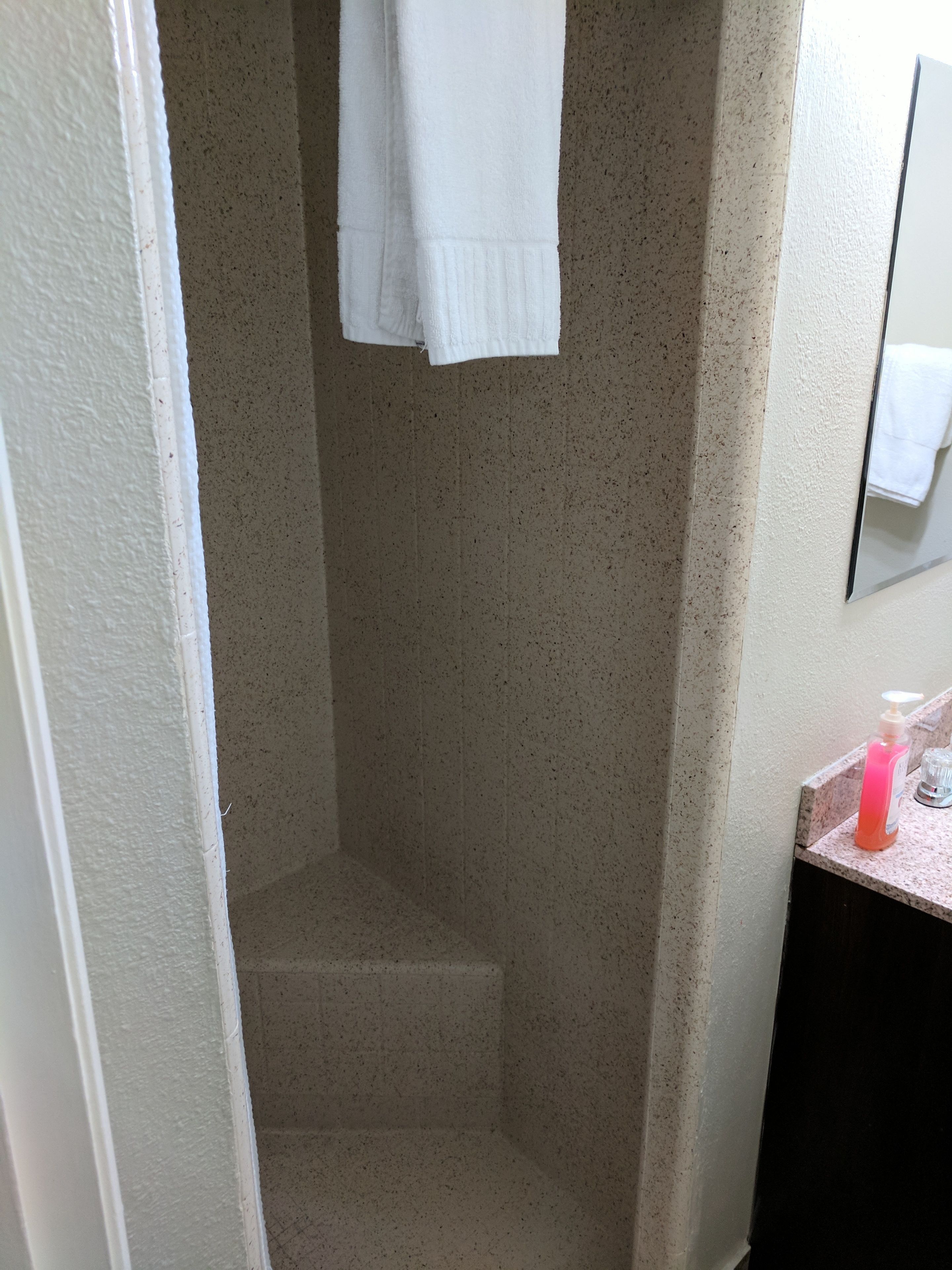 A bathroom with a shower, a sink with a soap dispenser, and a mirror on the wall.