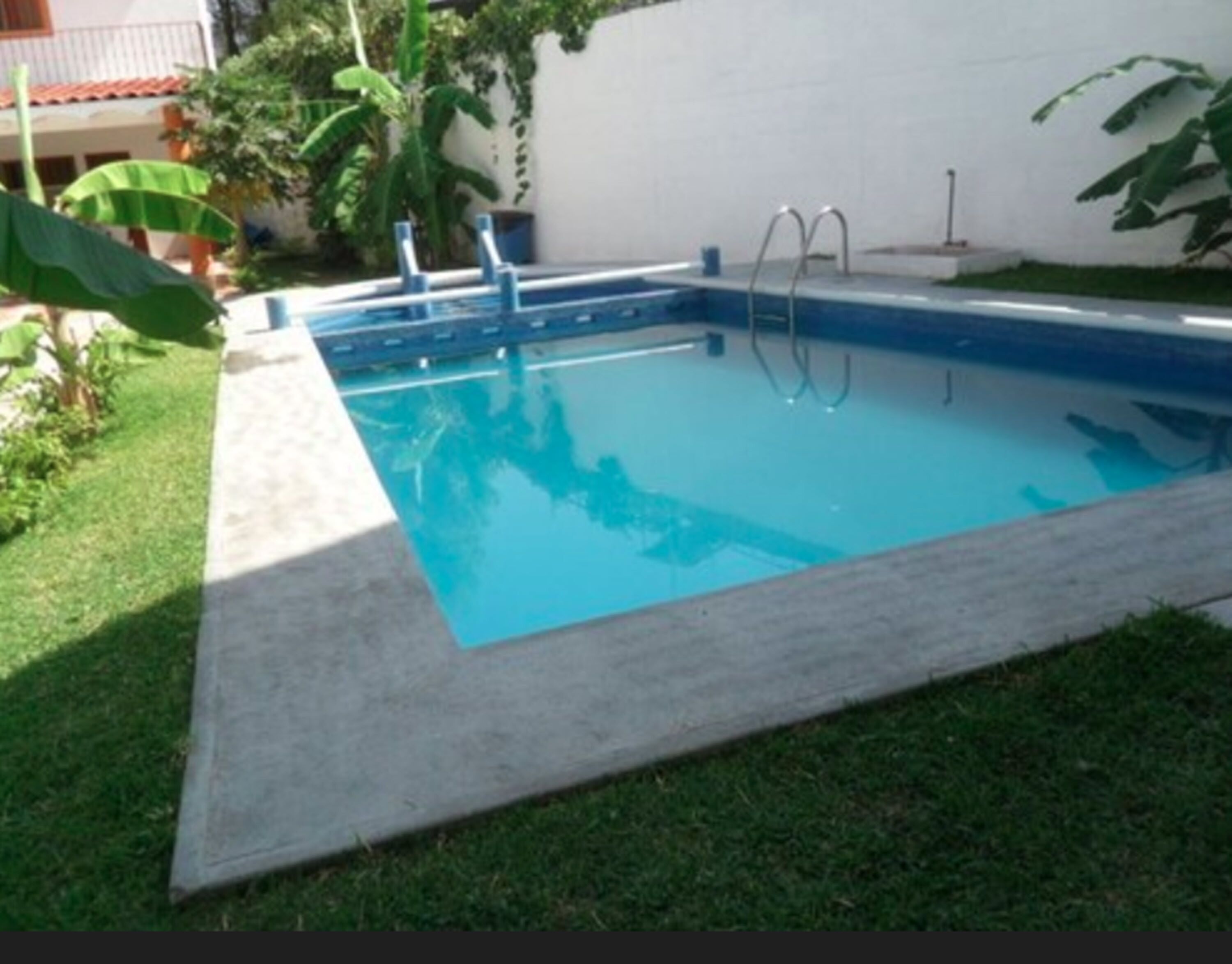A rectangular swimming pool with a concrete edge, surrounded by a grassy area and some plants.