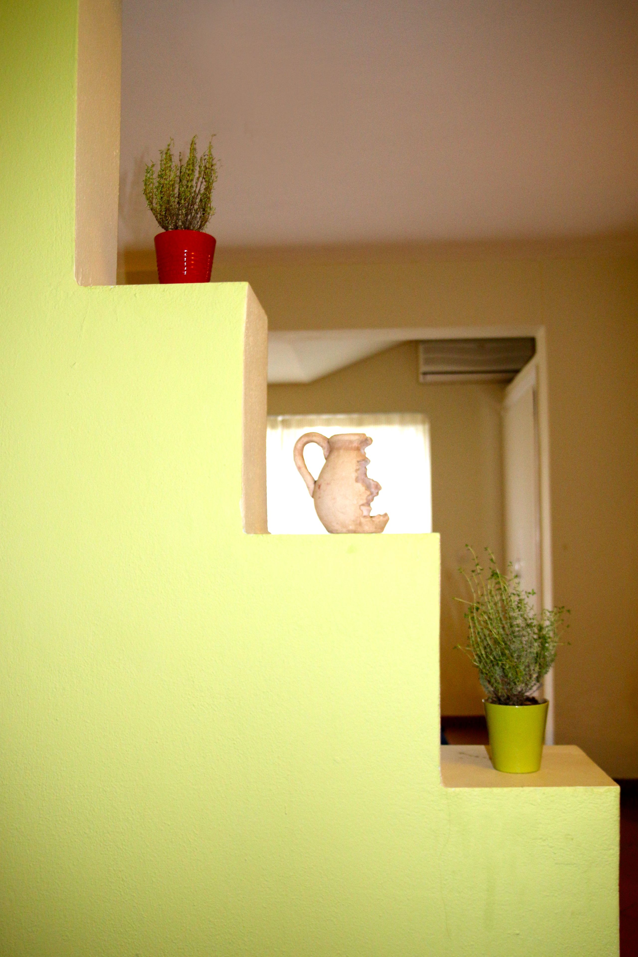 A staircase with potted plants at the top and bottom.