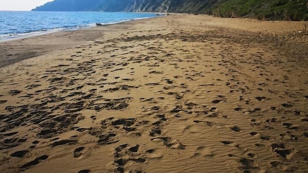 Una playa arenosa con huellas que conducen al agua, un cielo despejado y una montaña al fondo.