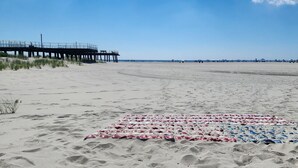 Una playa con muelle y numerosas tumbonas dispuestas en filas.