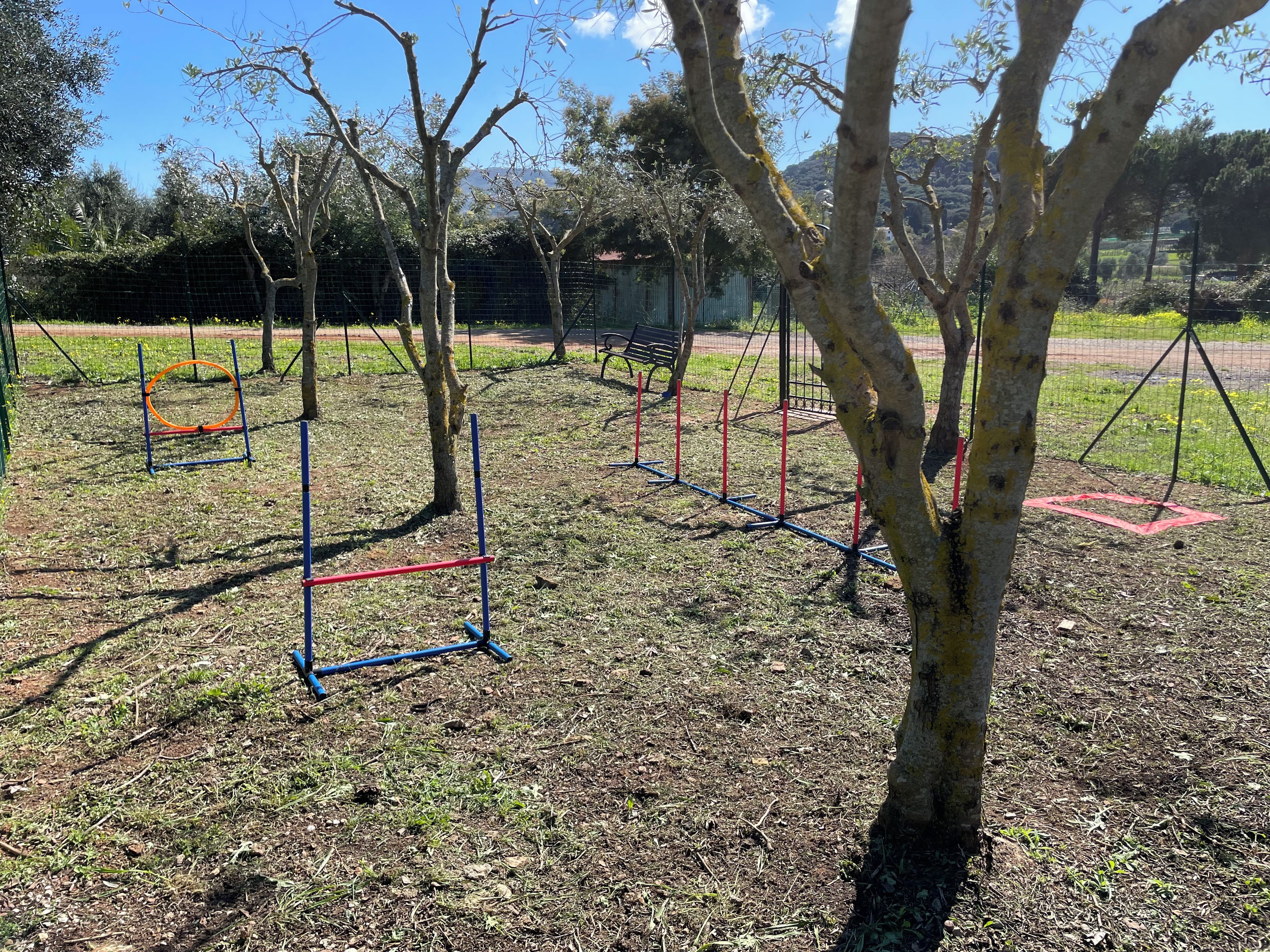 An outdoor area with exercise equipment, trees, and a grassy field.