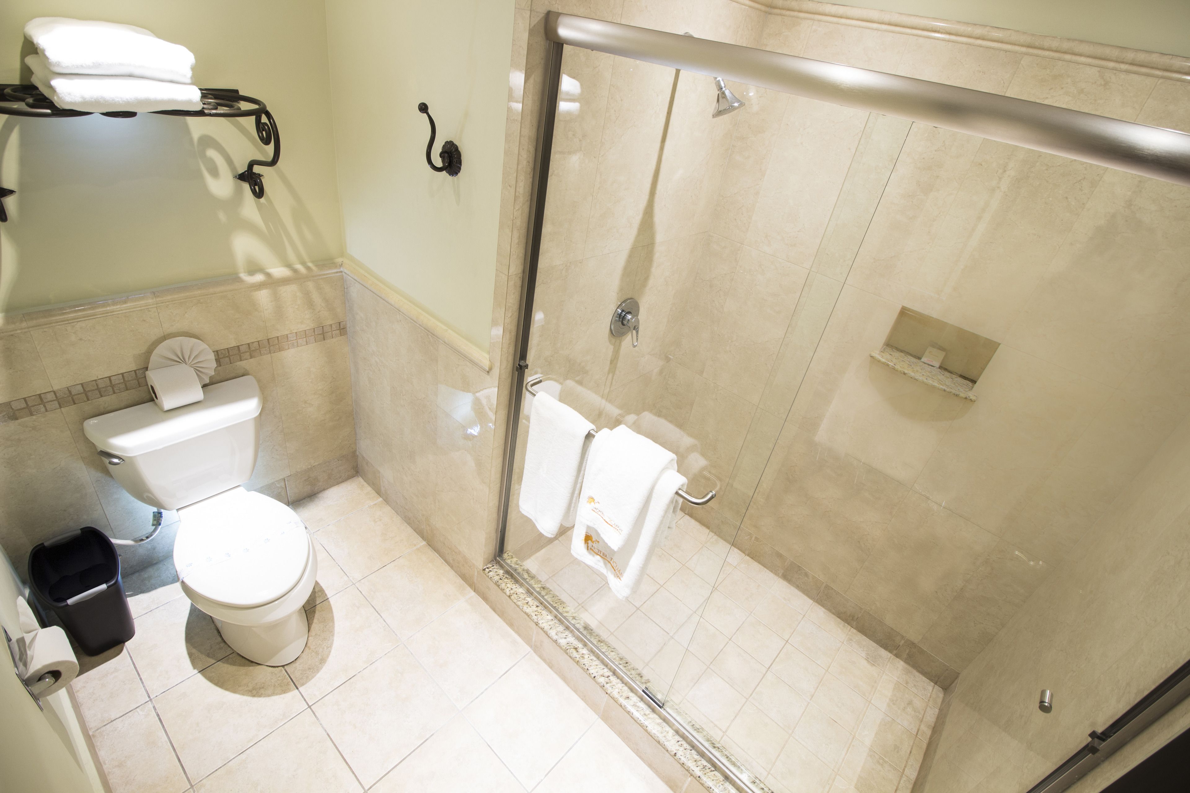 A bathroom with a toilet, a glass-enclosed shower, and a towel rack.