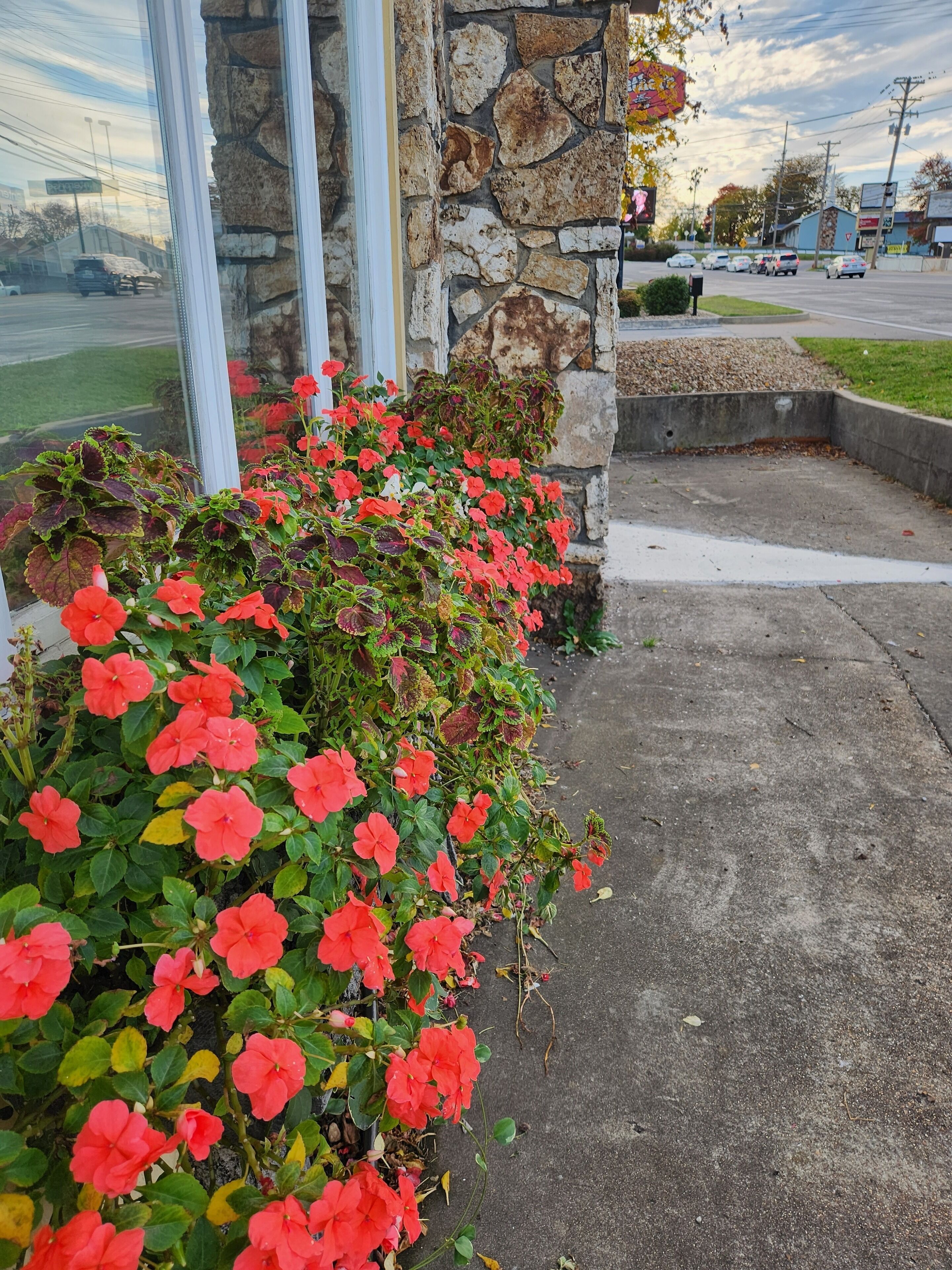 Un bâtiment en pierre avec un bac en béton rempli de fleurs rouges.