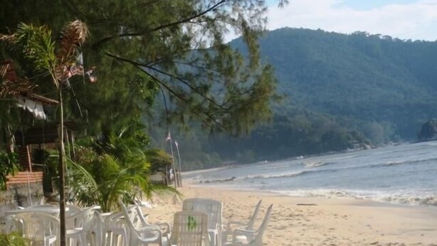 A beach with white plastic chairs and a palm tree. - ET Budget Guest House (George Town)
