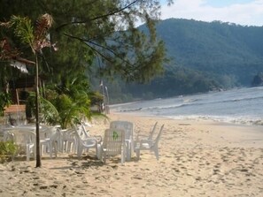 Une plage avec des chaises en plastique blanches et un palmier.