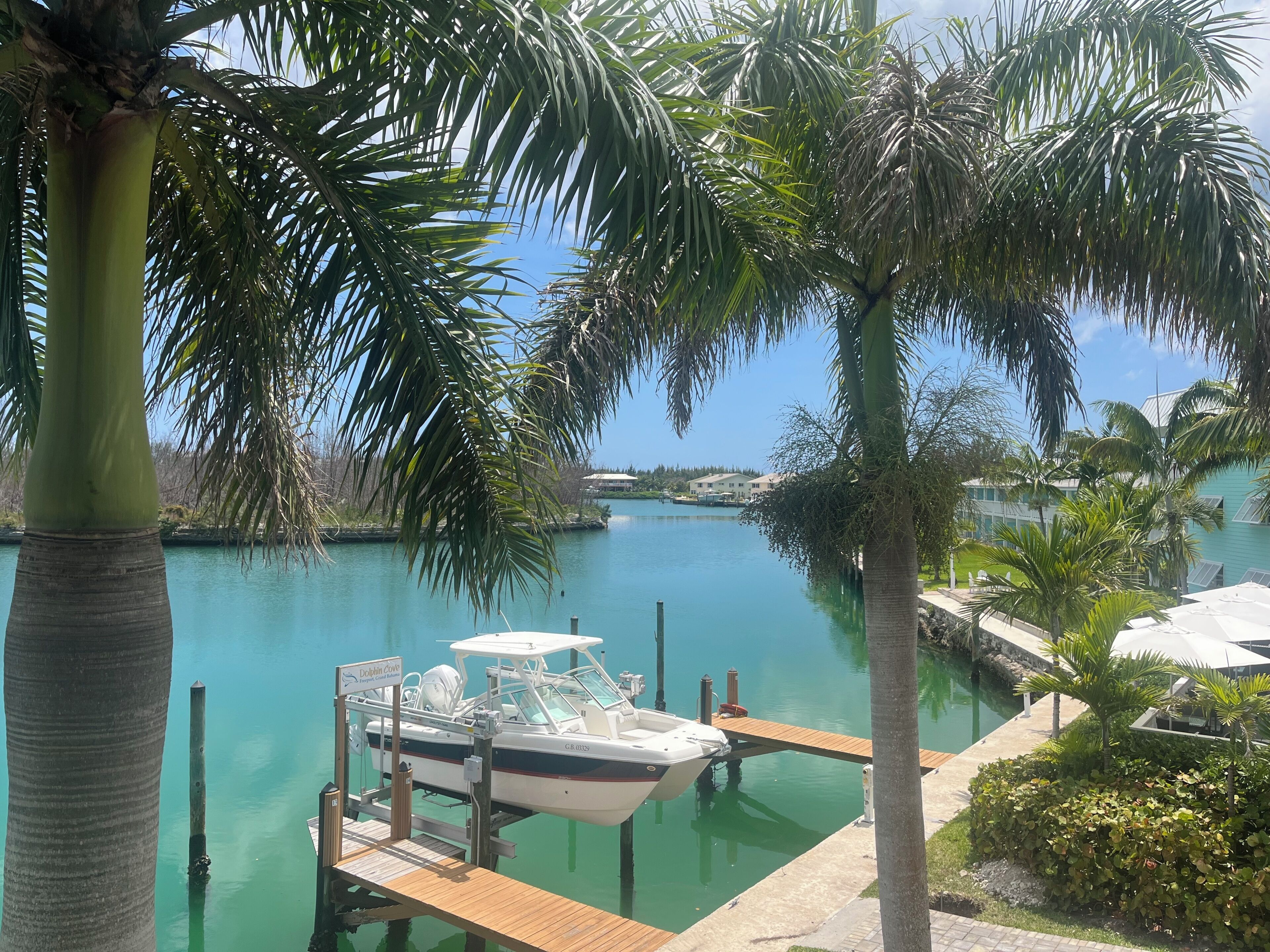 Premium King Suite | Terrace/patio