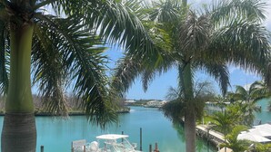 A marina with a boat docked, surrounded by palm trees and a clear view of a house in the background.