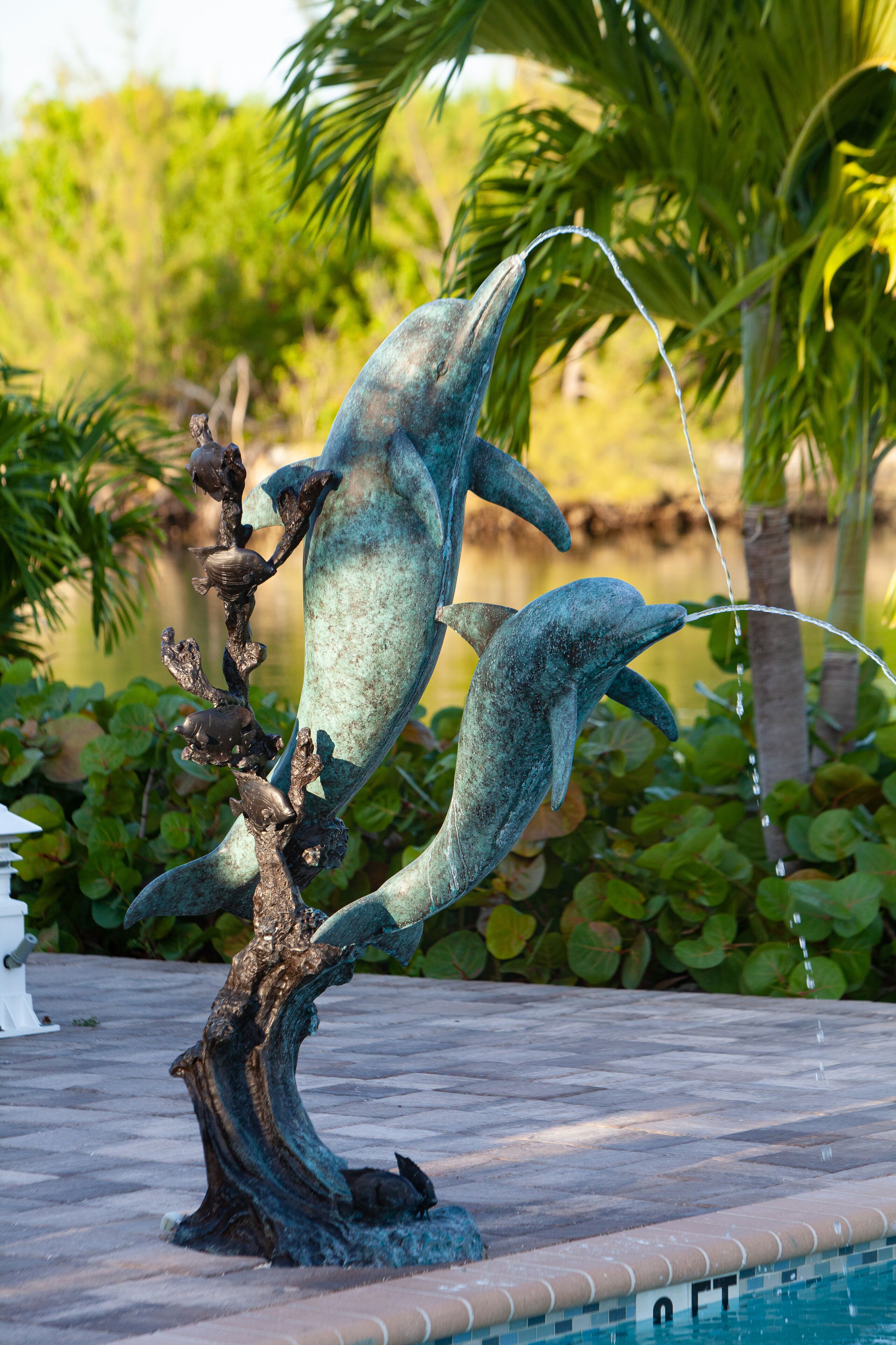 Una scultura in bronzo a forma di delfino in una zona piscina, con bordatura piastrellata e verdeggiante sullo sfondo.