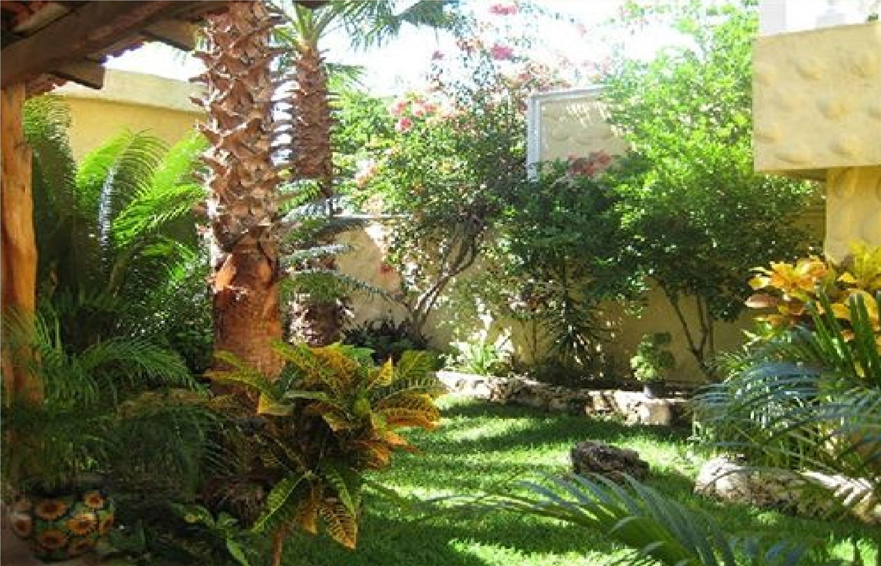 deep-tissue massages, massages on the beach, massages