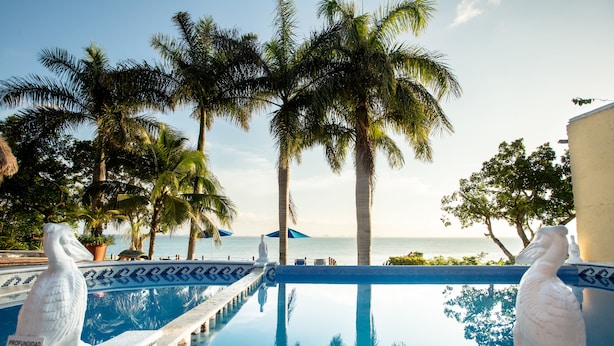 Una piscina con indicador de profundidad, palmeras y vista al mar.
