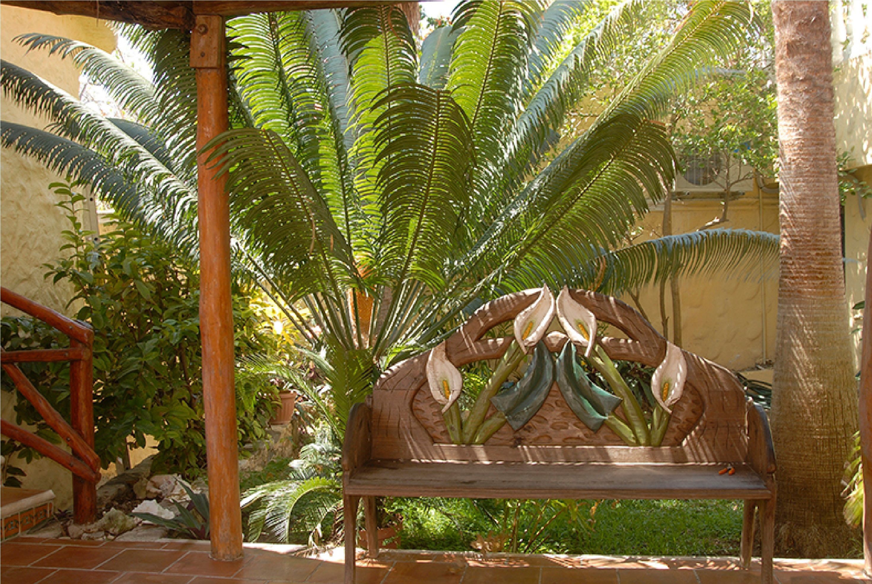 Un banc en bois, placé sous un palmier, dans un jardin.