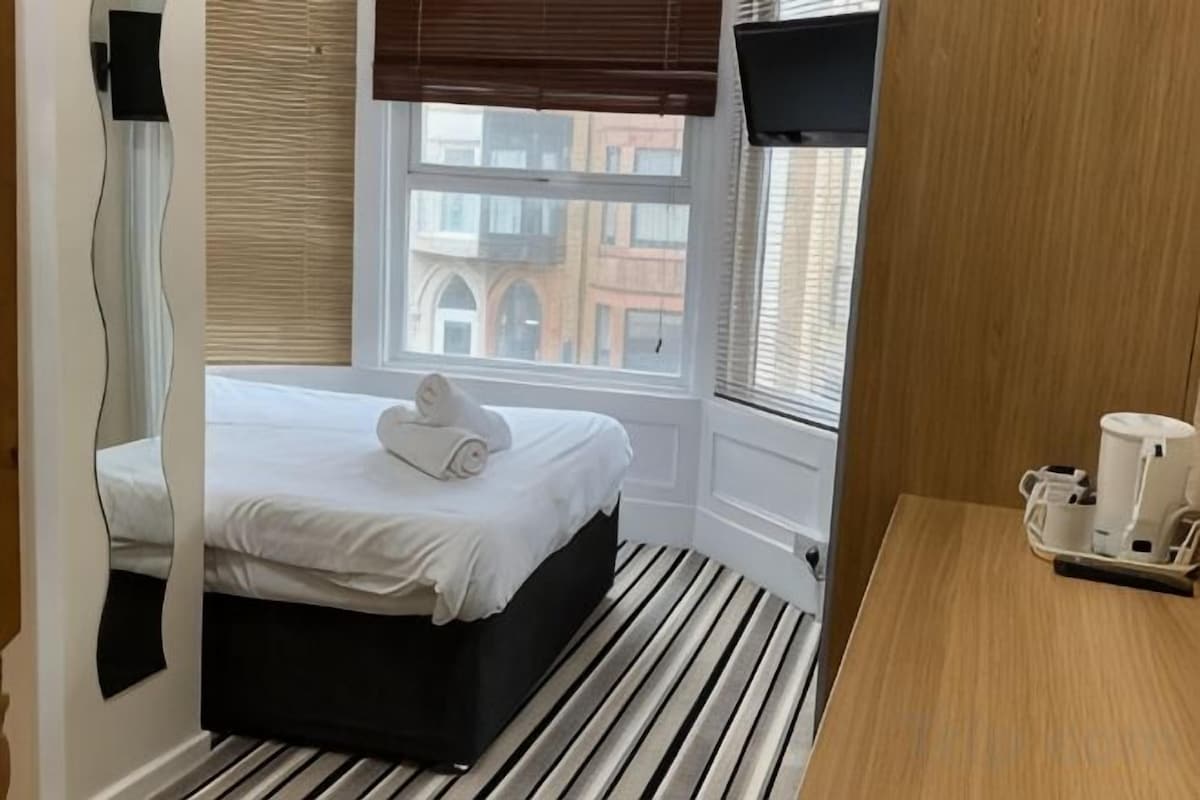 Superior Quad Suite