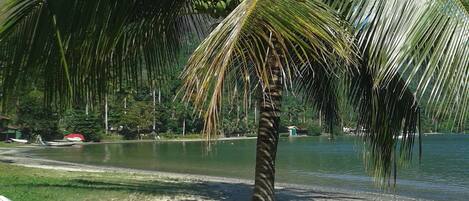 Área da propriedade