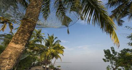 Purity at Lake Vembanad
