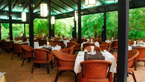 An outdoor dining area with wicker chairs and tables, surrounded by greenery. - Amazing Bagan Resort (Nyaung-U)