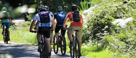 A group of cyclists on a paved path surrounded by greenery.