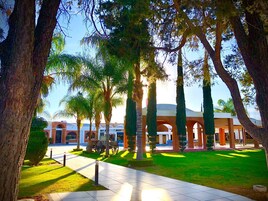 42-inch flat-screen TV with cable channels, Netflix, pay movies