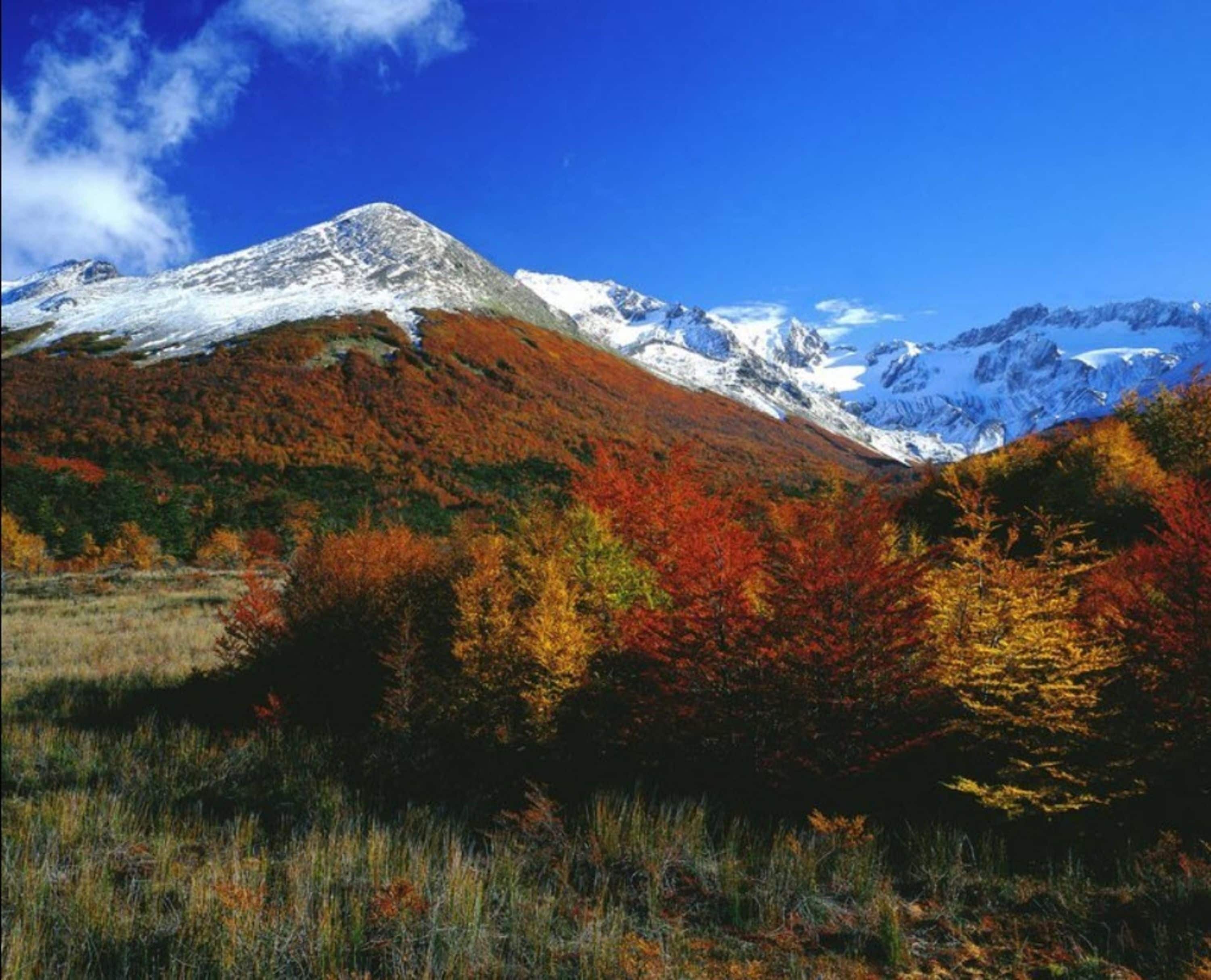 A mountainous landscape with autumn foliage and snow-capped peaks.