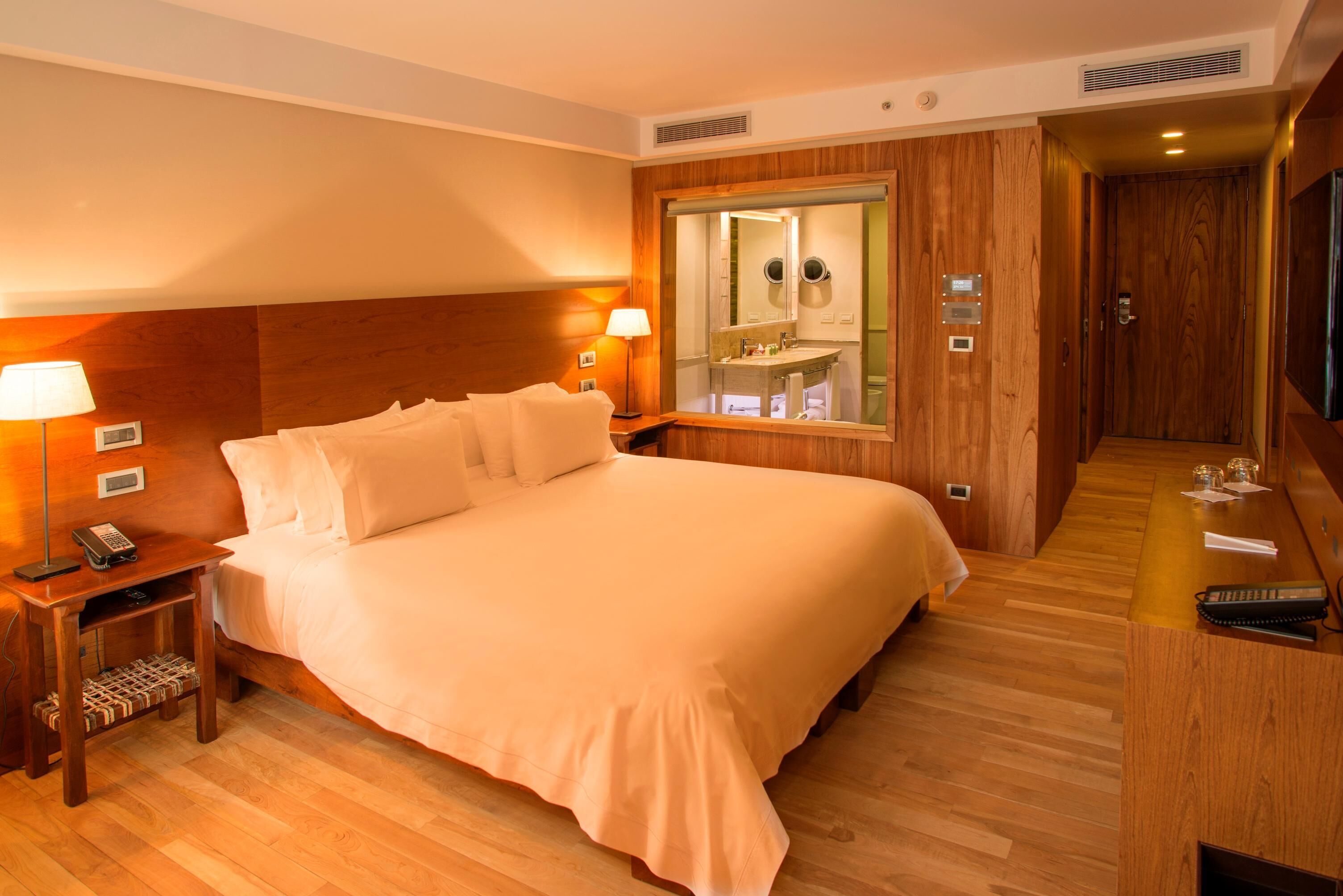 Roupas de cama de algodão egípcio, roupas de cama premium